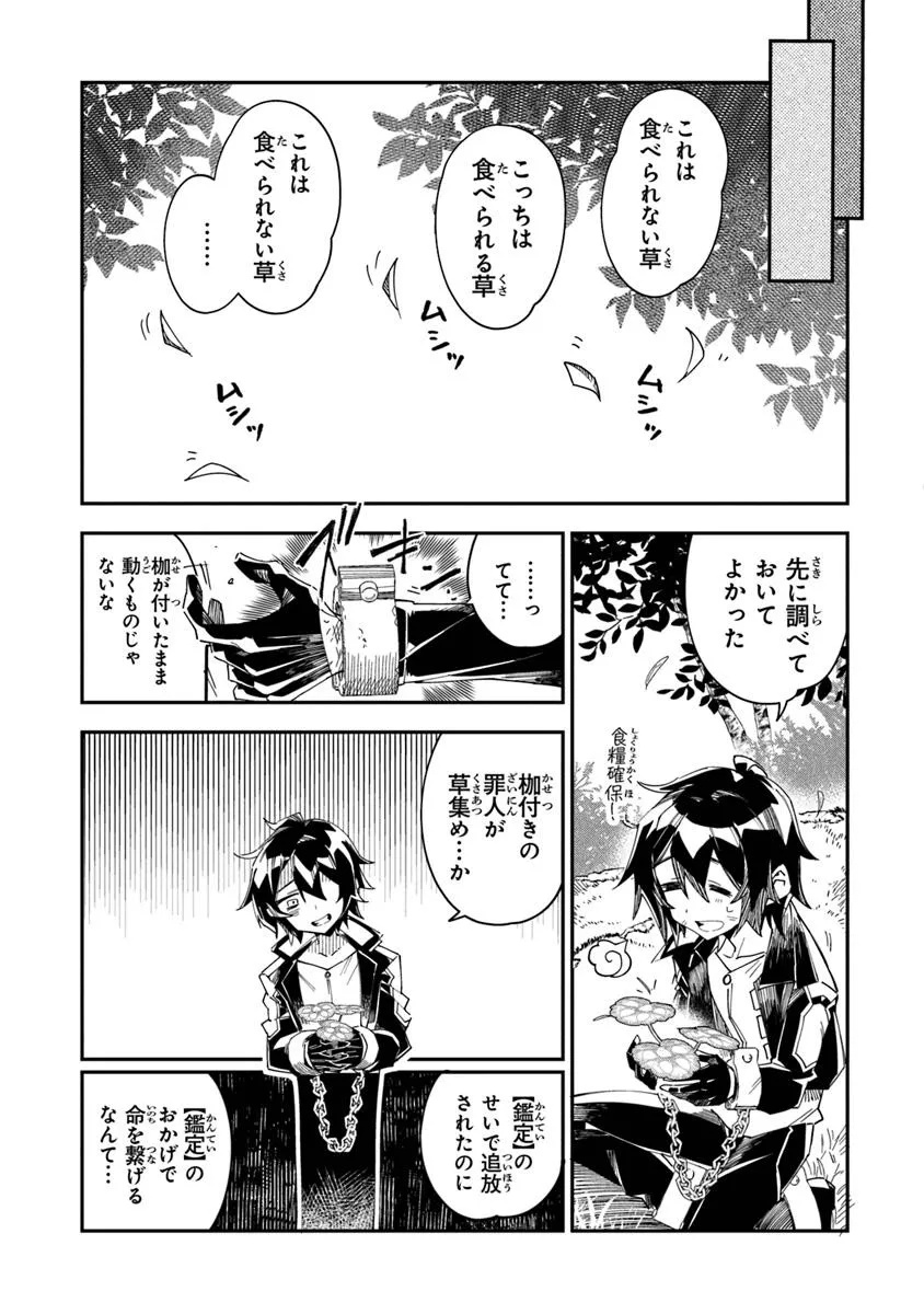 王家から追放された俺、魔物はびこる森で超速レベルアップします ～最弱スキルと馬鹿にされた『鑑定』の正体は、全てを見通す『神の目』でした～ 第1.2話 - Page 12