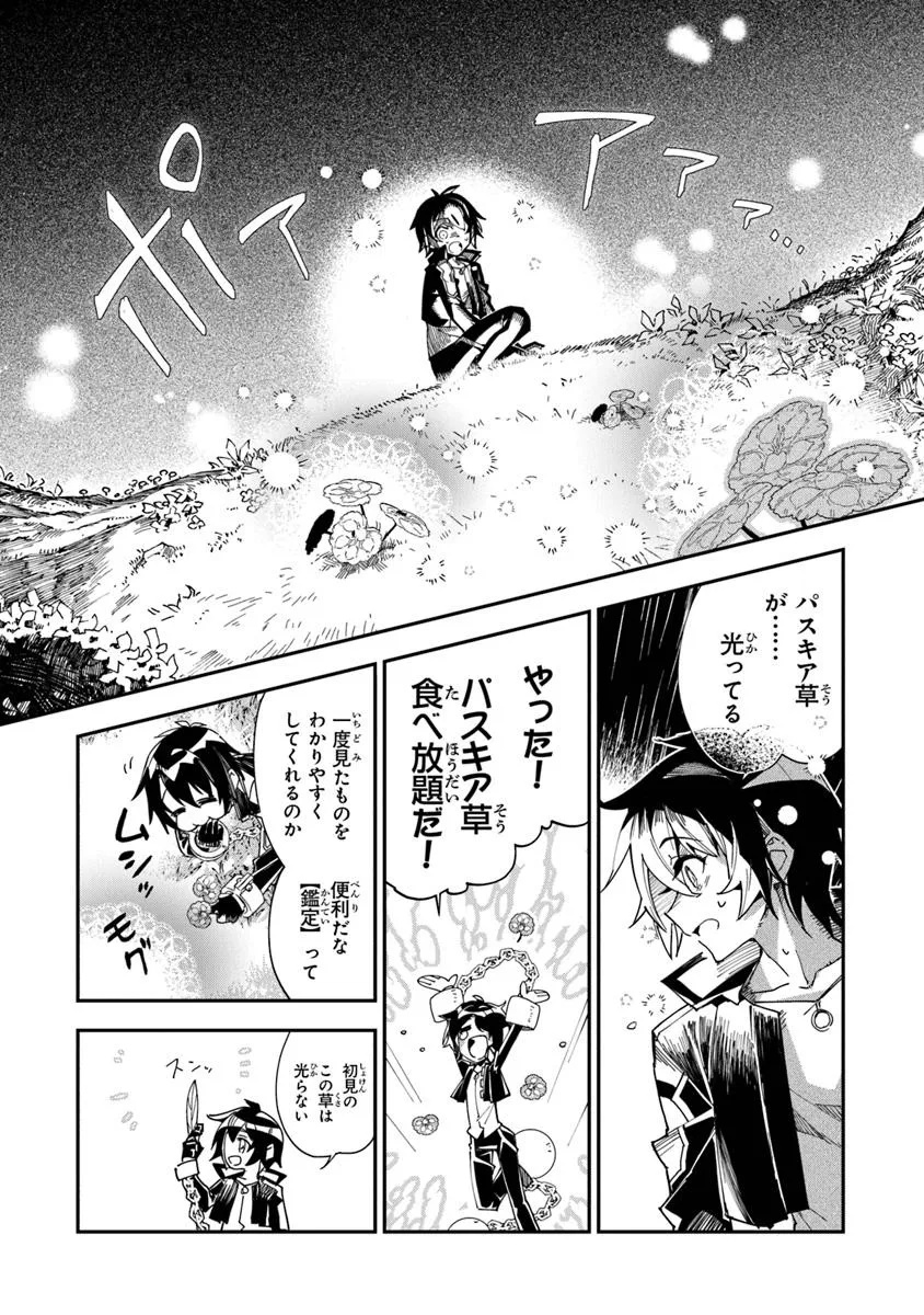 王家から追放された俺、魔物はびこる森で超速レベルアップします ～最弱スキルと馬鹿にされた『鑑定』の正体は、全てを見通す『神の目』でした～ 第1.2話 - Page 19