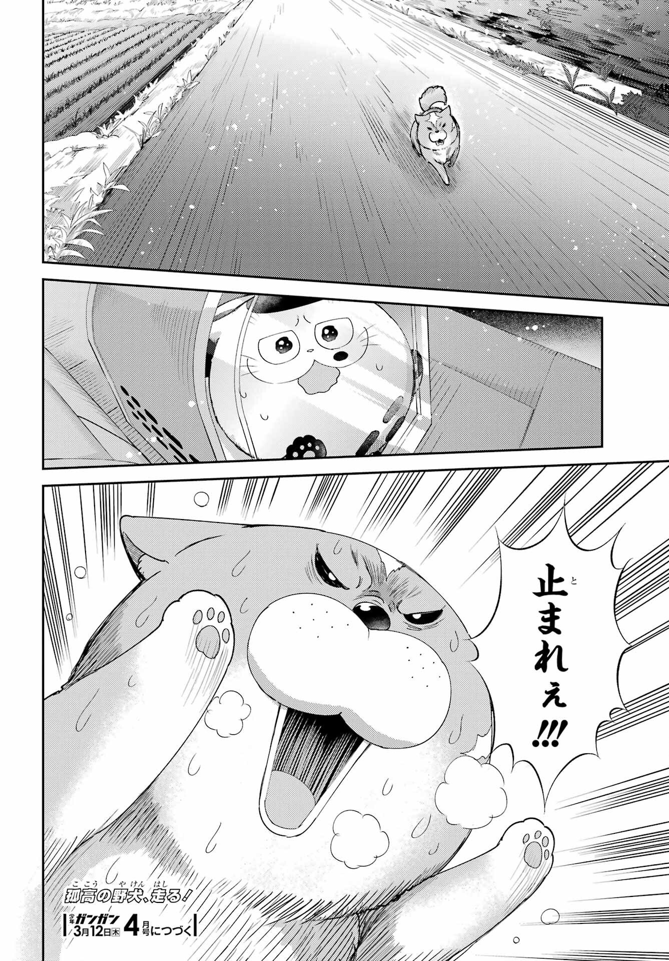 おじさまと猫 第131話 - Page 24