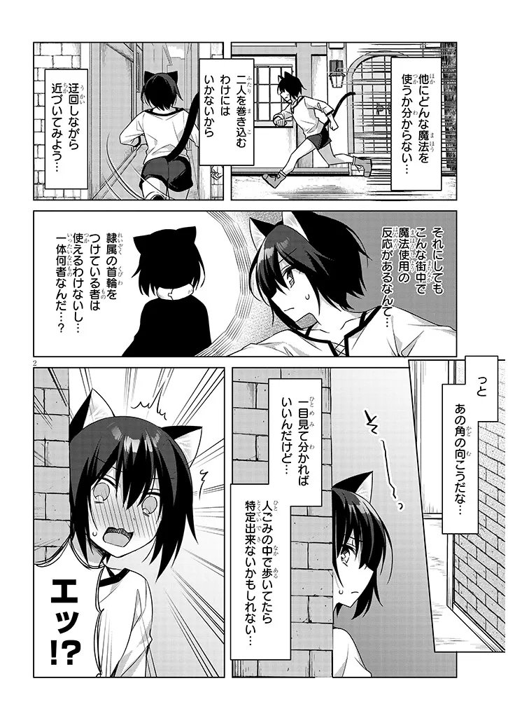 ボクの理想の異世界生活〜転生したらケモ耳娘だらけの世界でハーレムに ボクの理想の異世界生活 転生したらケモ耳娘だらけの世界でハーレムに 第19.1話 - Page 2