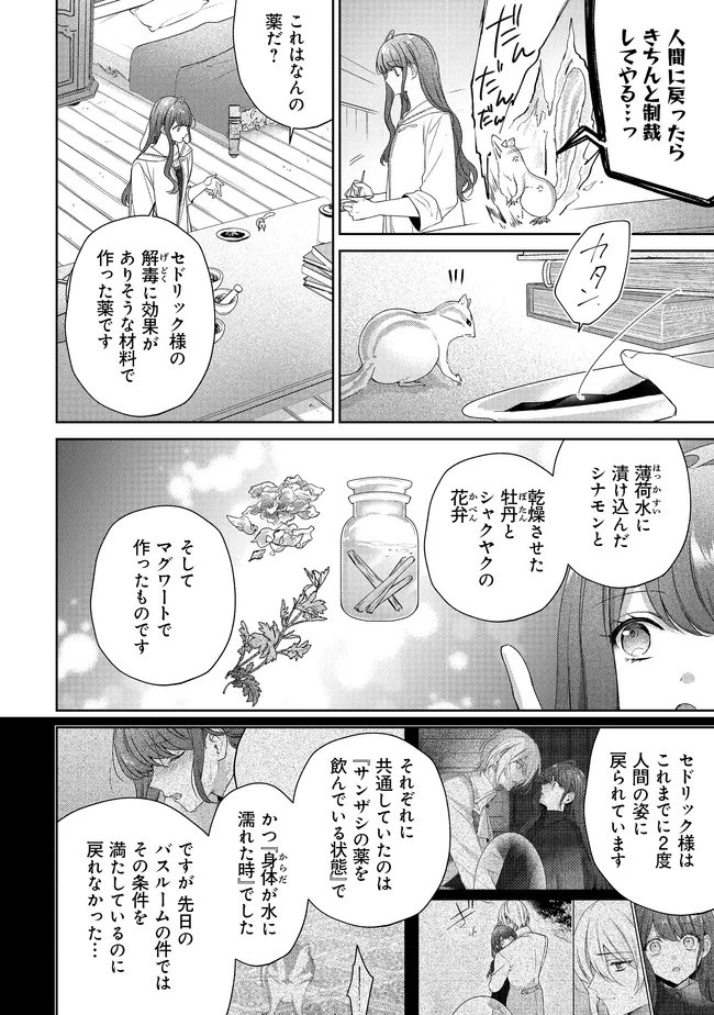 リスになってしまった婚約者が、毛嫌いしていたはずの私に助けを求めてきました。 第10.2話 - Page 3