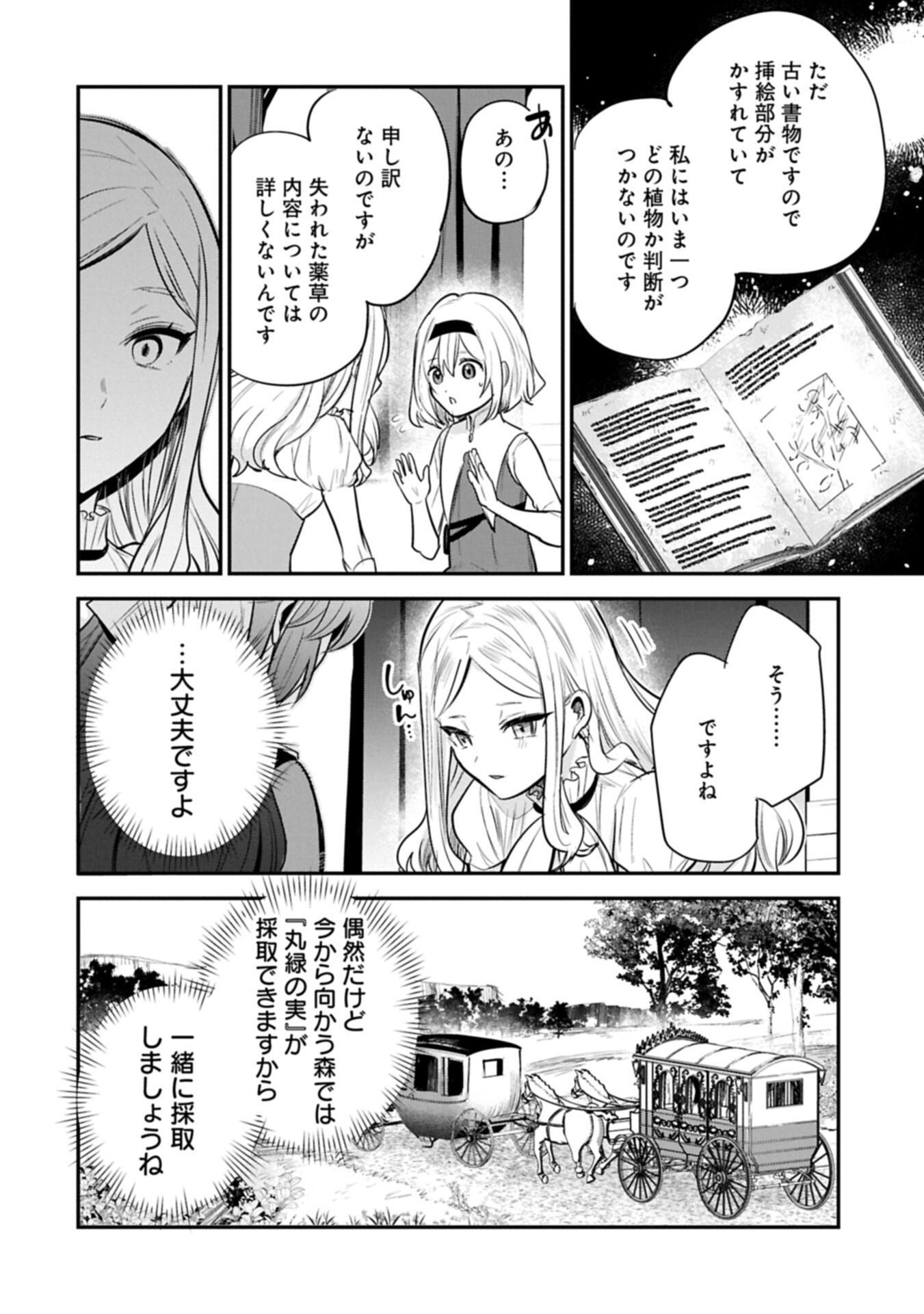 転生した大聖女は、聖女であることをひた隠す 第63.3話 - Page 12
