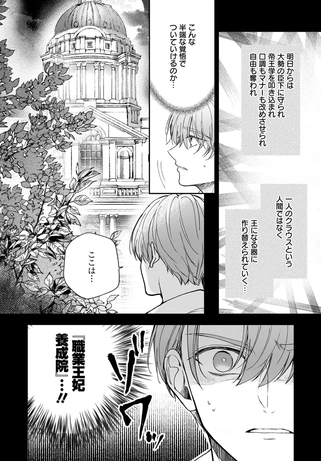 職業王妃ですので王の溺愛はご遠慮願います 第4.1話 - Page 18