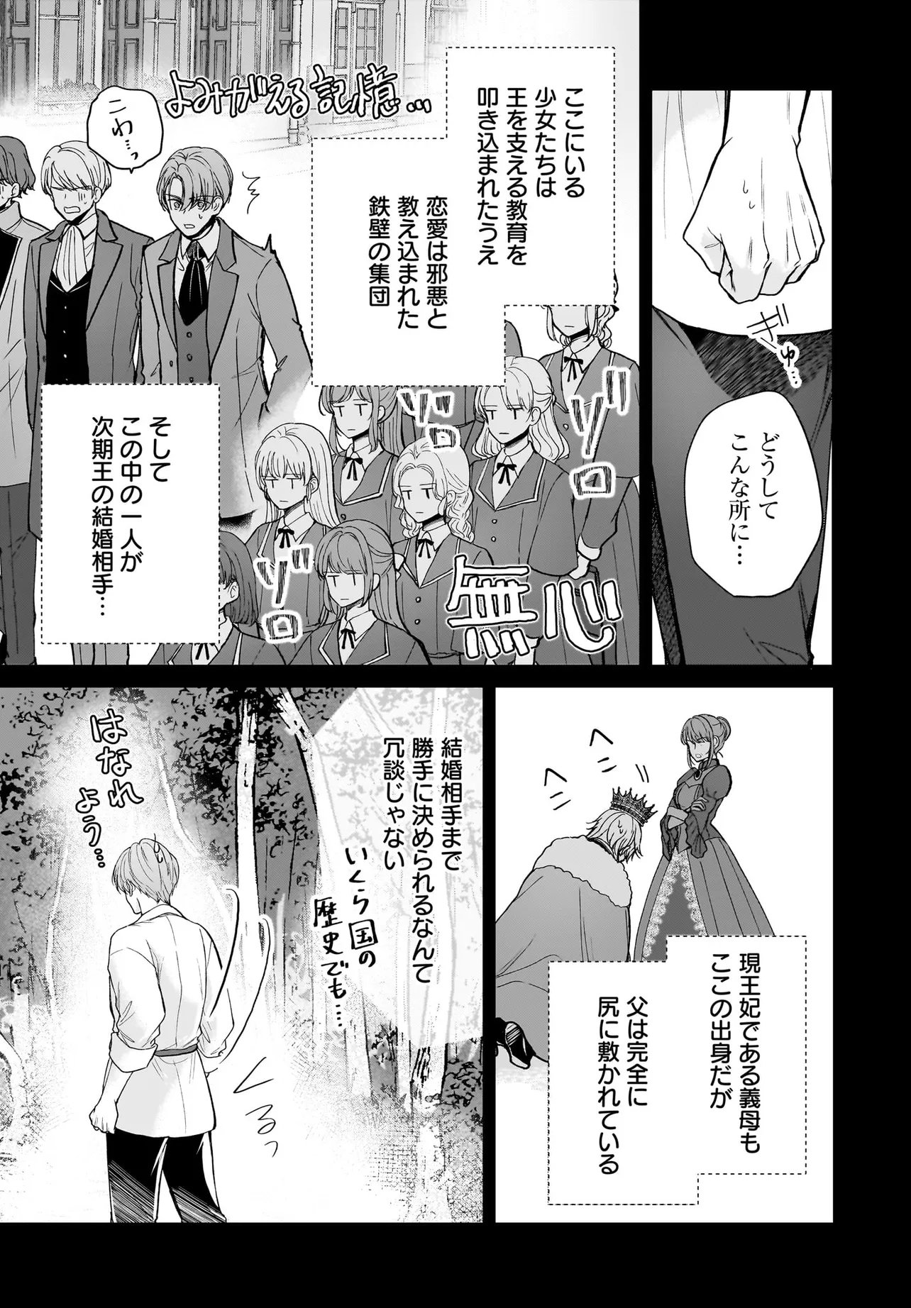職業王妃ですので王の溺愛はご遠慮願います 第4.1話 - Page 19