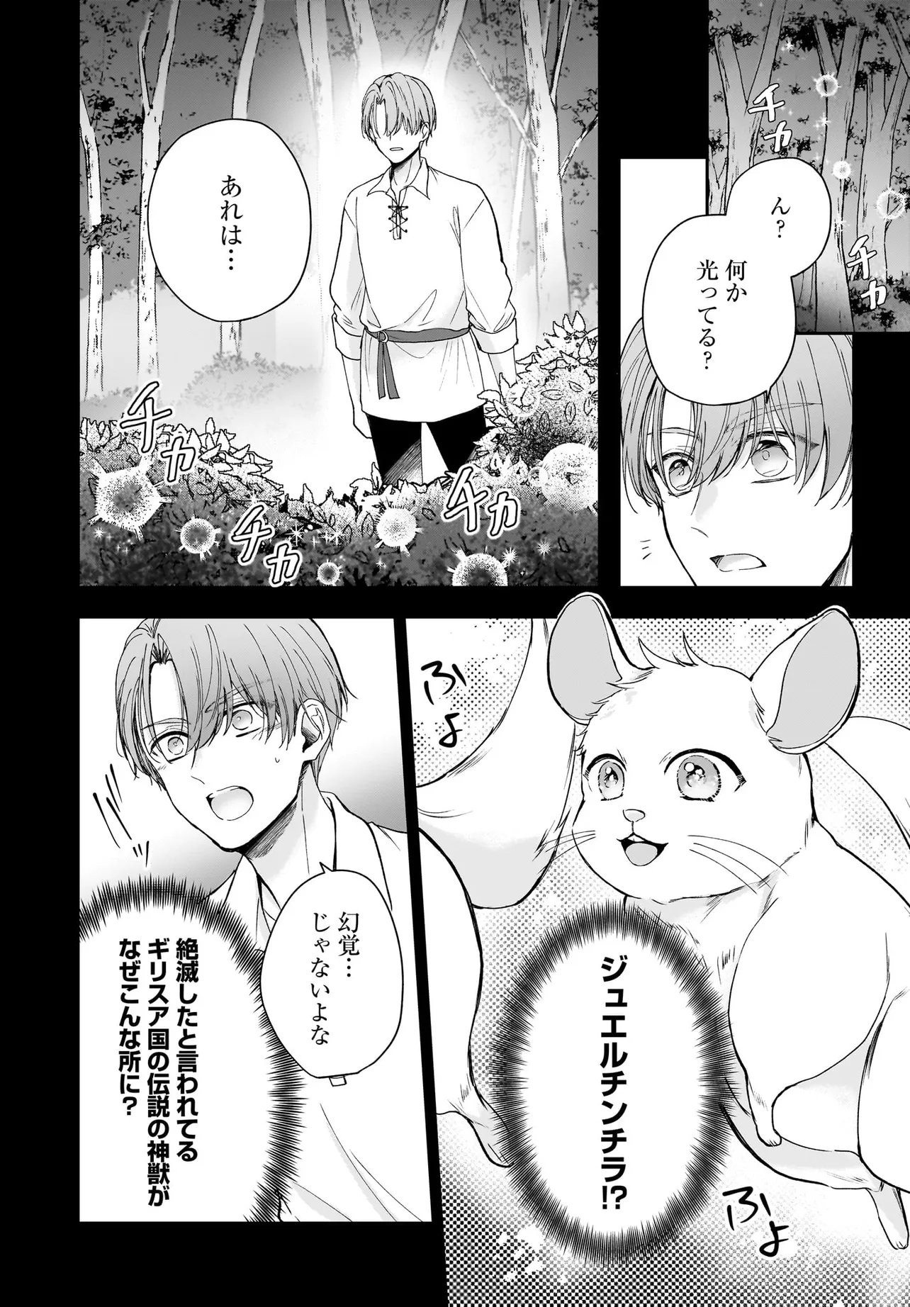 職業王妃ですので王の溺愛はご遠慮願います 第4.1話 - Page 20