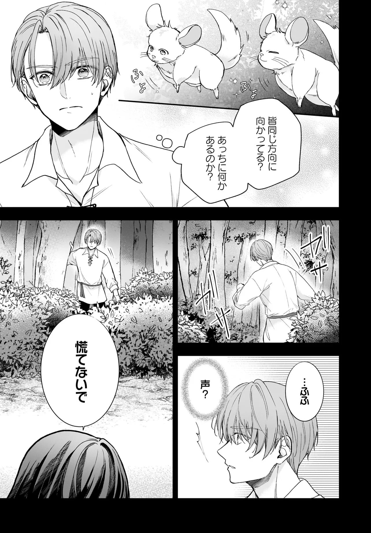 職業王妃ですので王の溺愛はご遠慮願います 第4.1話 - Page 21