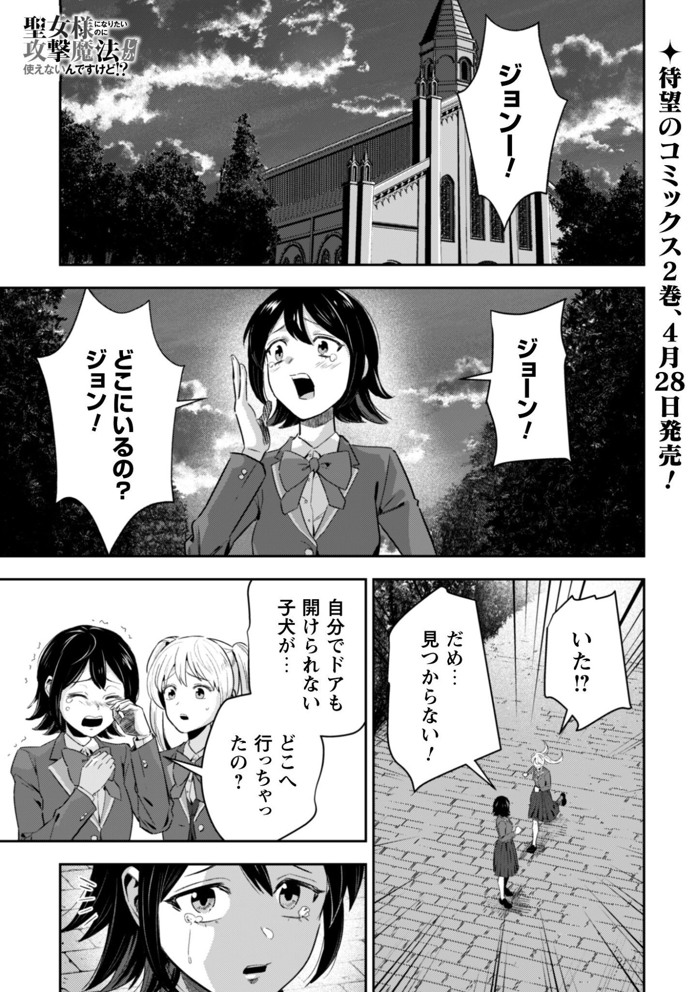 聖女様になりたいのに攻撃魔法しか使えないんですけど！？ 第11話 - Page 2