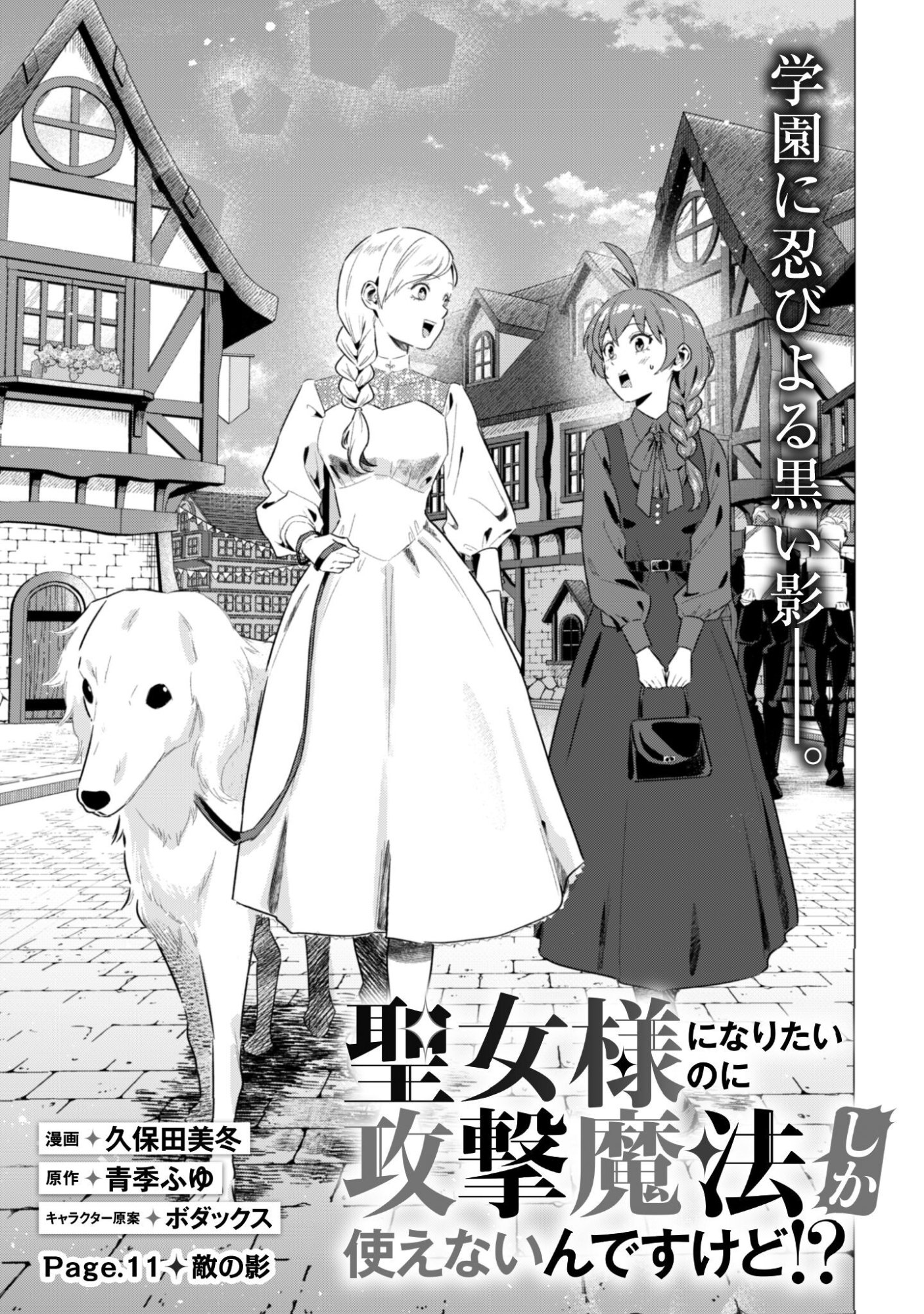 聖女様になりたいのに攻撃魔法しか使えないんですけど！？ 第11話 - Page 6