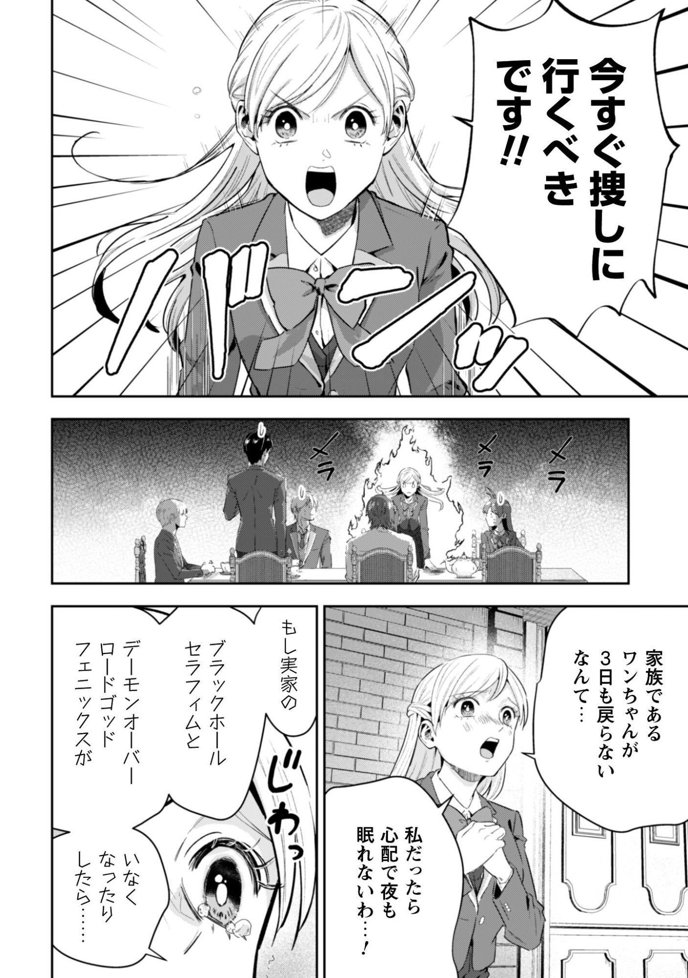聖女様になりたいのに攻撃魔法しか使えないんですけど！？ 第11話 - Page 17