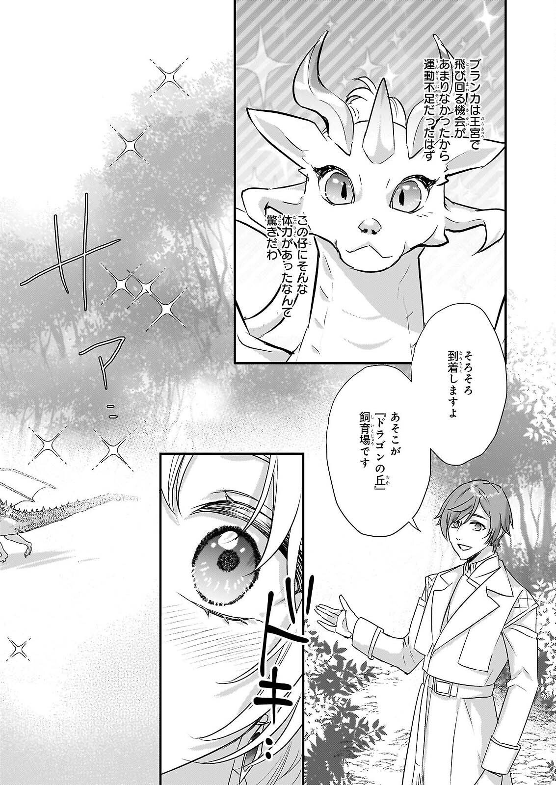 追放されたドラゴン好き令嬢は、北方辺境伯の愛に気づかない 第5話 - Page 13