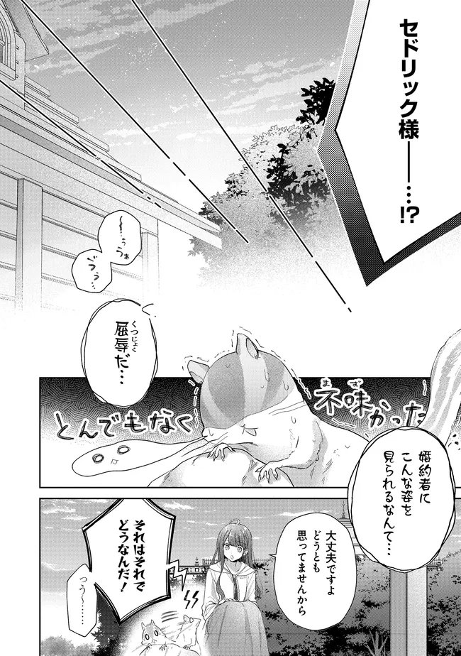 リスになってしまった婚約者が、毛嫌いしていたはずの私に助けを求めてきました。 第11.2話 - Page 11