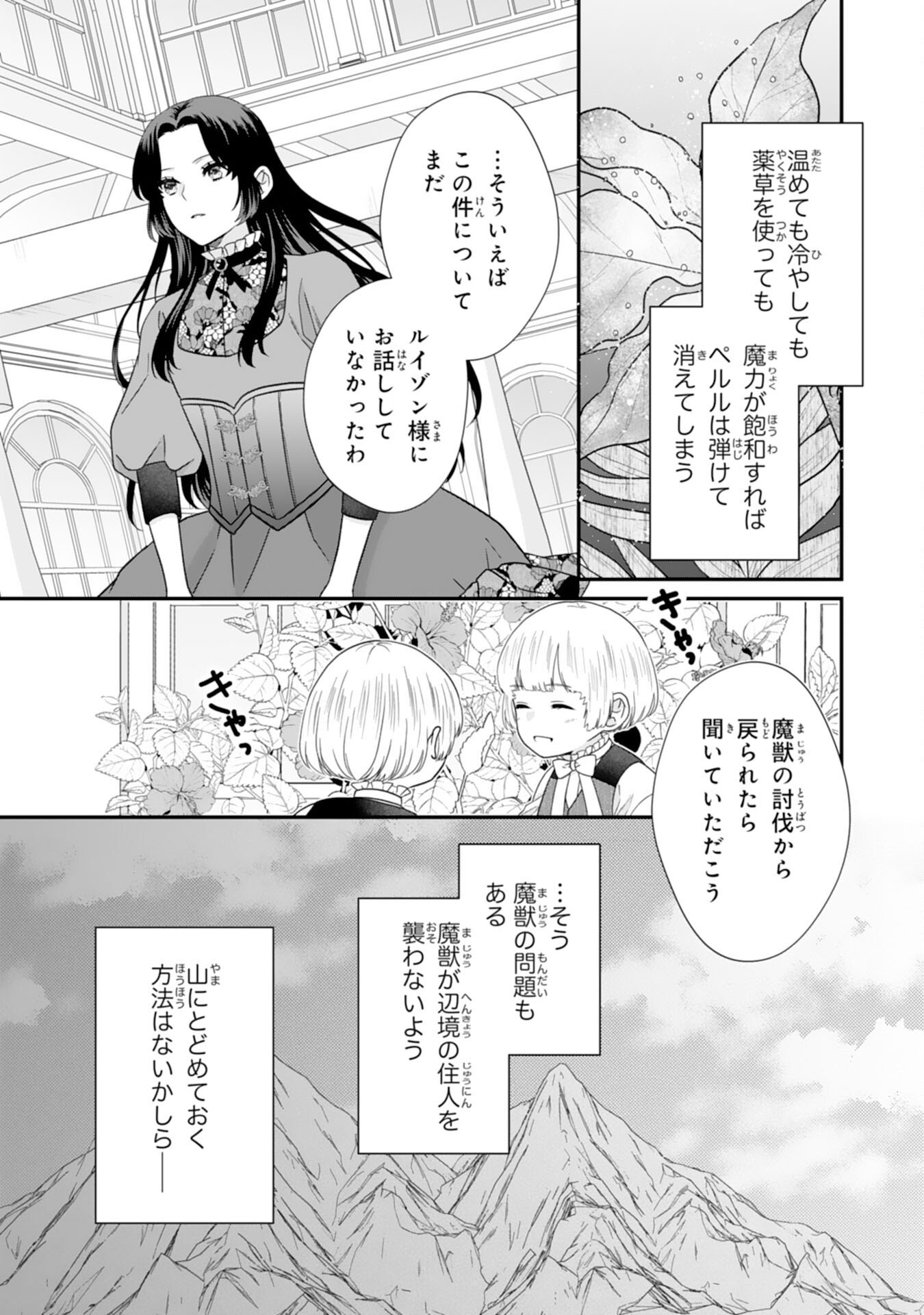 双子王子の継母になりまして 嫌われ悪女ですが、そんなことより義息子たちが可愛すぎて困ります 第14話 - Page 17