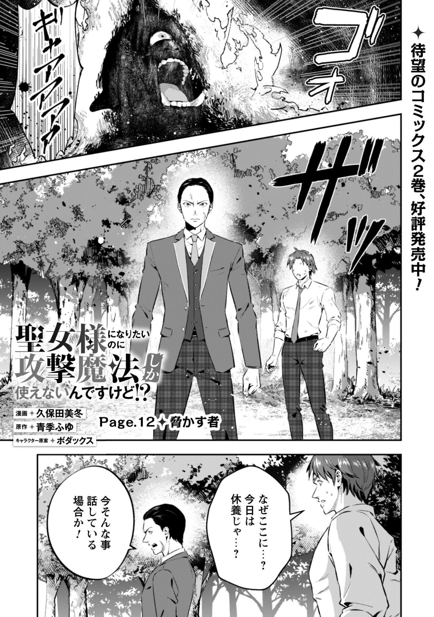聖女様になりたいのに攻撃魔法しか使えないんですけど！？ 第12話 - Page 2