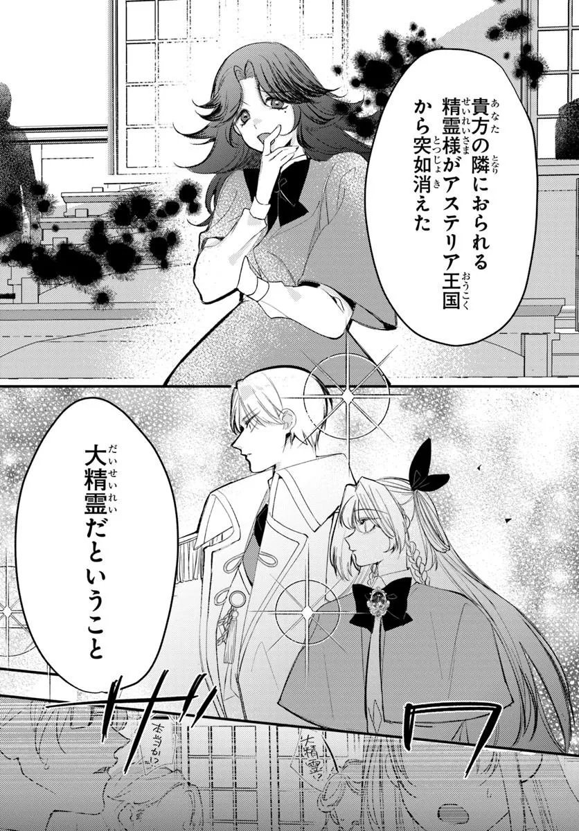 精霊に「お前は主人にふさわしくない、契約破棄してくれ!」と言われたので、欲しがっている妹に譲ります 第10.1話 - Page 16