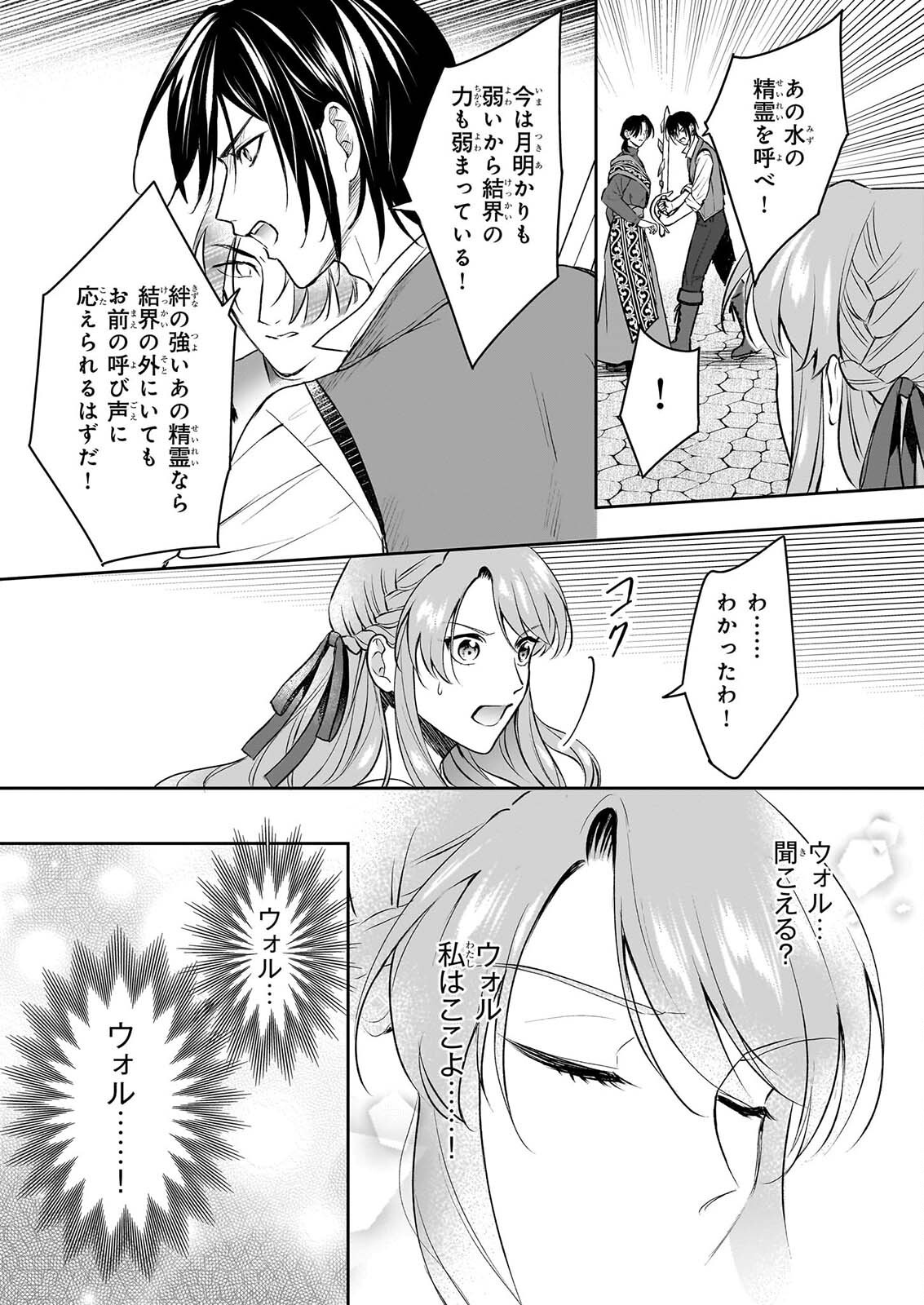 幼馴染みで悪魔な騎士は、私のことが大嫌い ～New Round～ 第6話 - Page 17