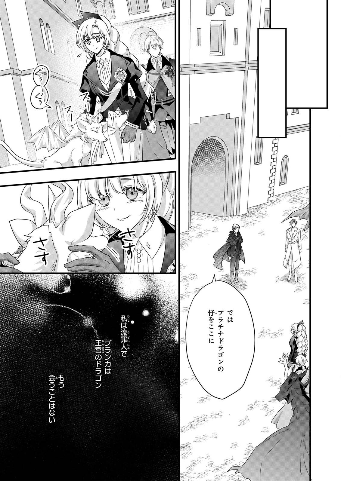 追放されたドラゴン好き令嬢は、北方辺境伯の愛に気づかない 第6話 - Page 17
