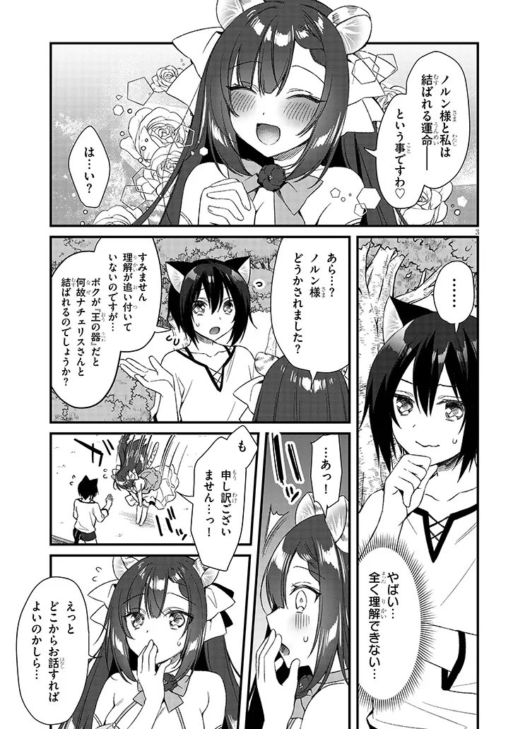 ボクの理想の異世界生活〜転生したらケモ耳娘だらけの世界でハーレムに ボクの理想の異世界生活 転生したらケモ耳娘だらけの世界でハーレムに 第20.1話 - Page 3
