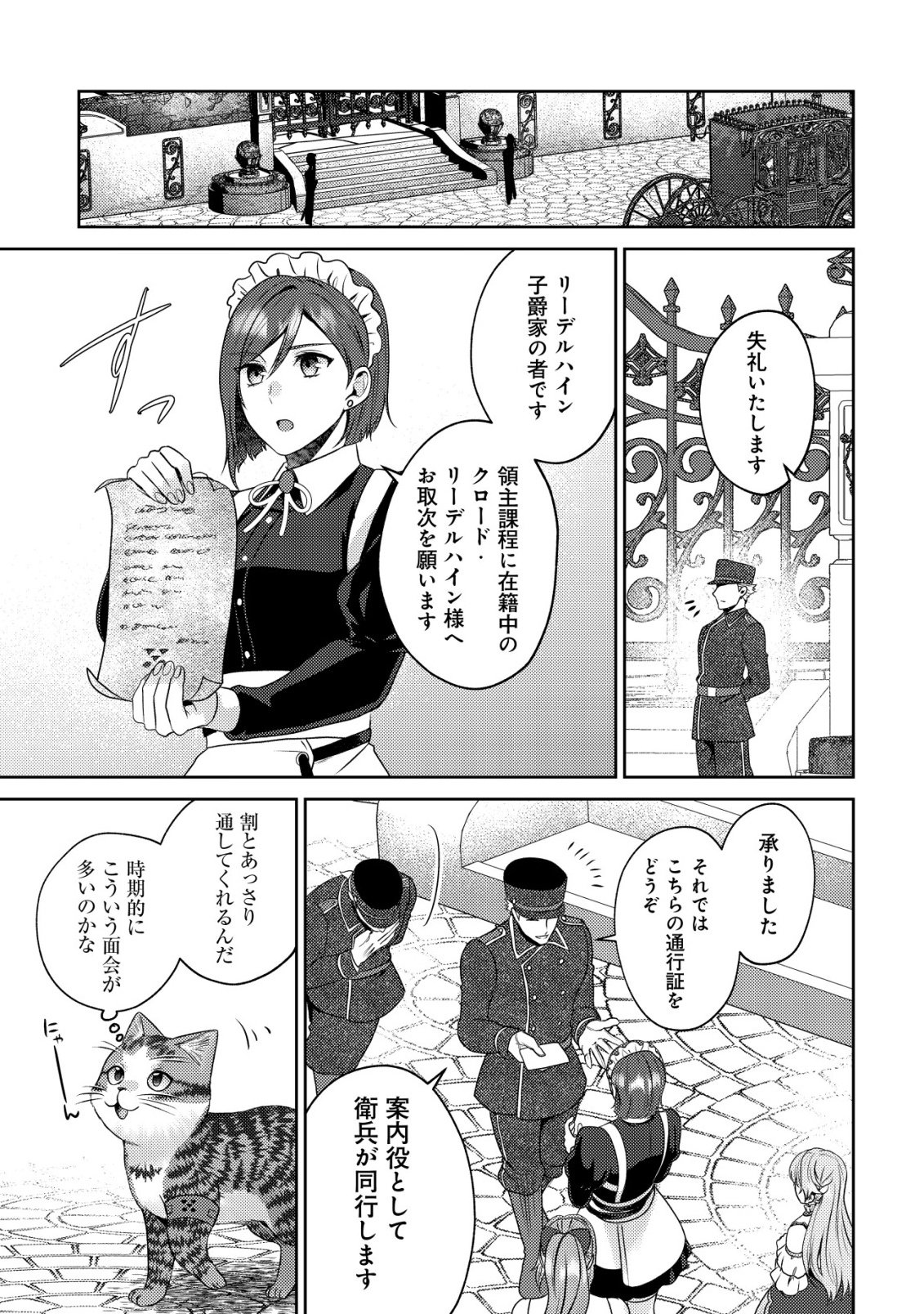 我輩は猫魔導師である キジトラ・ルークの快適チート猫生活 第32話 - Page 17