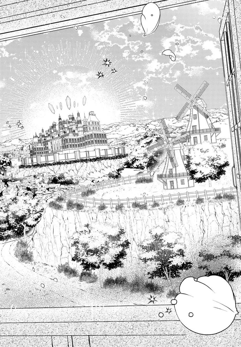 捨てられるはずの悪妻なのに冷徹侯爵様に溺愛されています 第6.2話 - Page 6