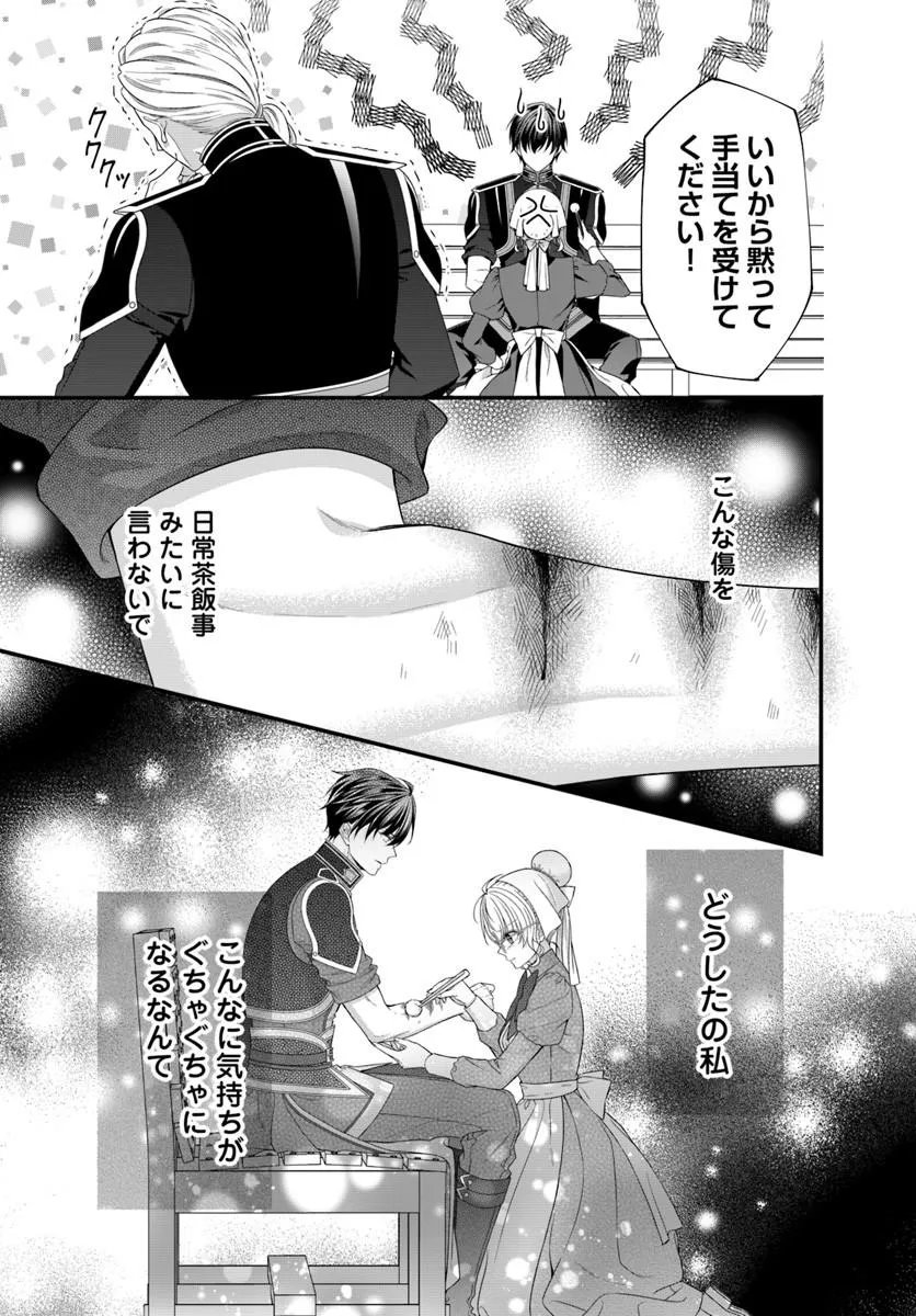 王女でしたがこっそり竜騎士団の専属薬師になりました 第9.1話 - Page 3