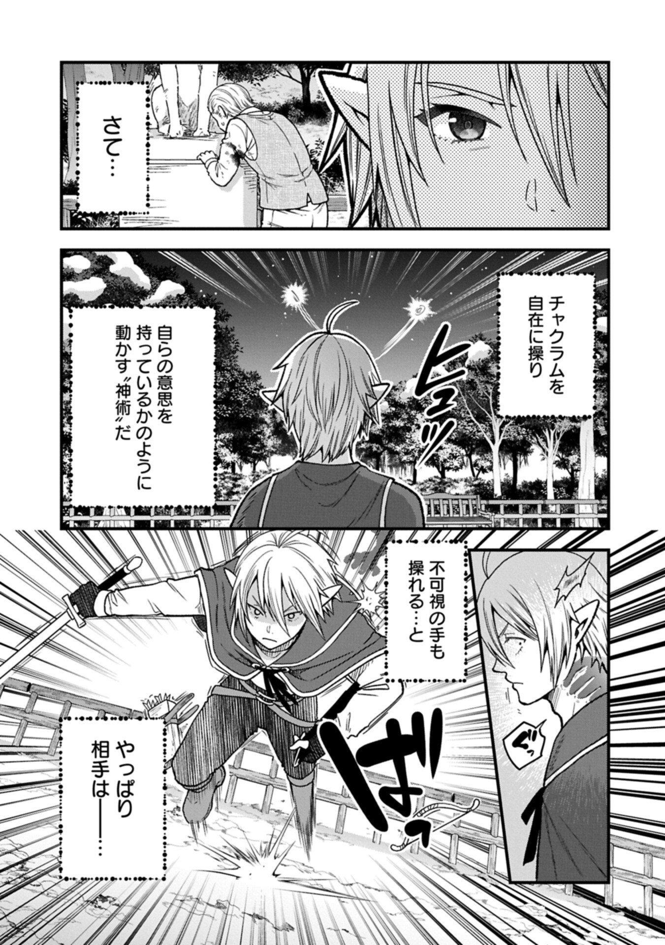 転生してハイエルフになりましたが、スローライフは 年で飽きました 第50.2話 - Page 3