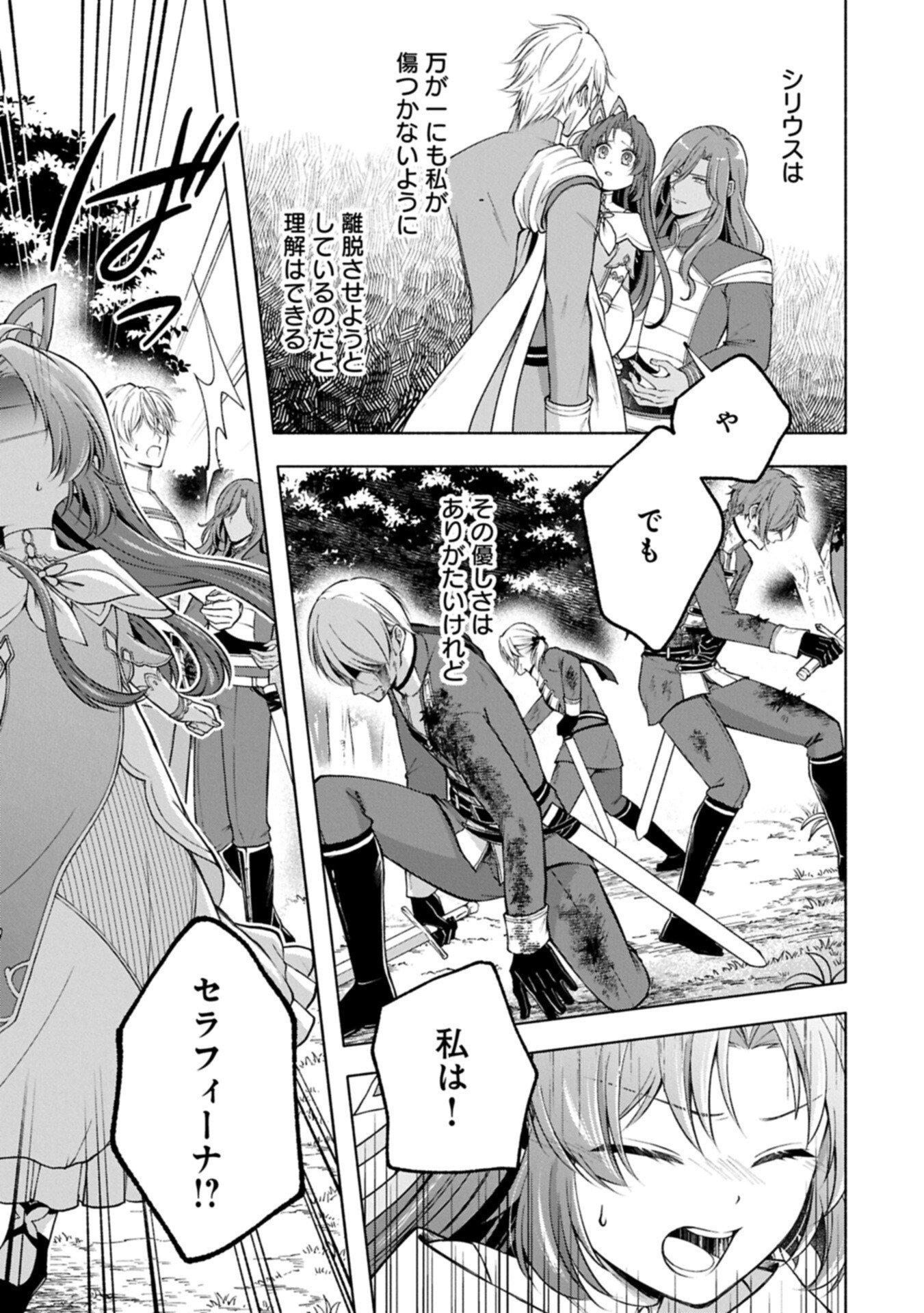 転生した大聖女は、聖女であることをひた隠す 第24.1話 - Page 5