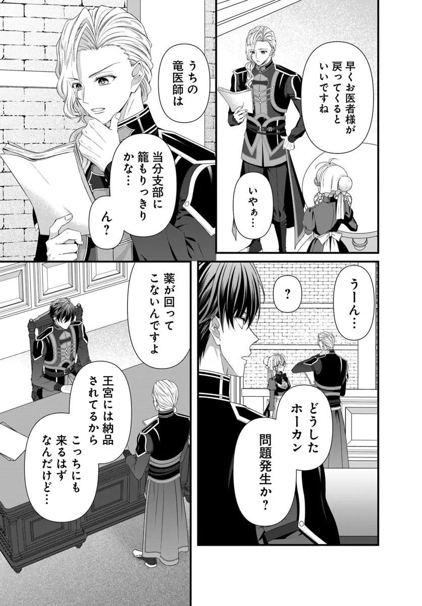 王女でしたがこっそり竜騎士団の専属薬師になりました 第9.1話 - Page 11