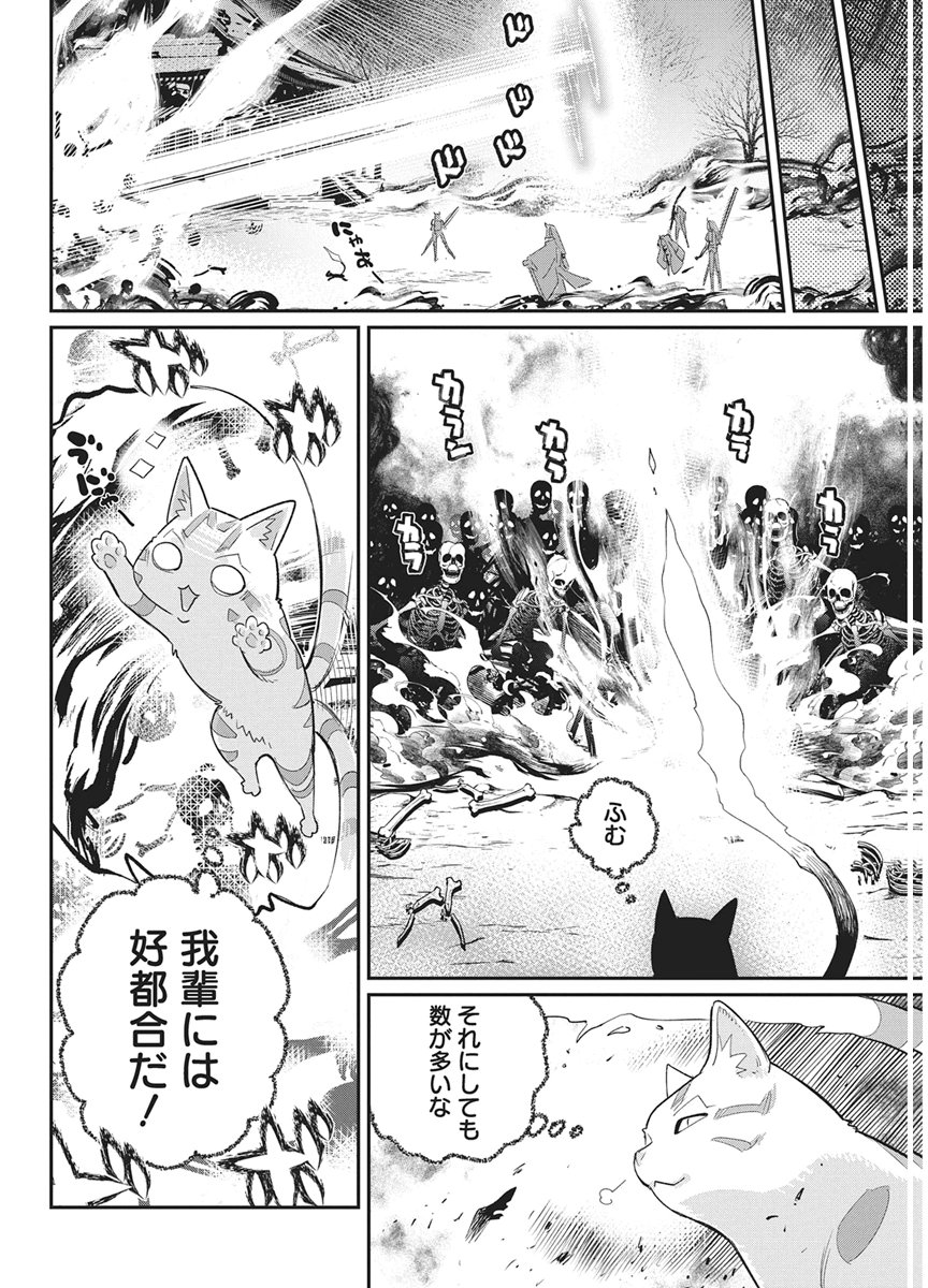 ランクモンスターの《ベヒーモス》だけどネコと間違われてエルフ娘の騎士として暮らしています 第89話 - Page 12