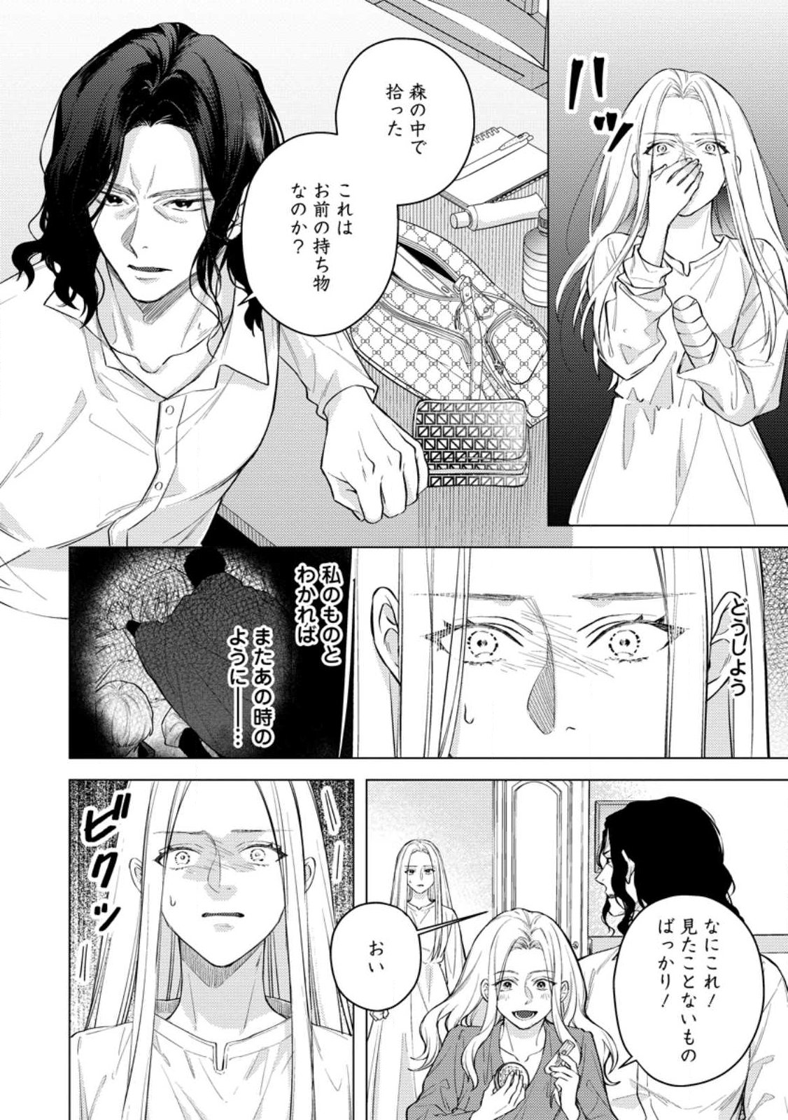 ヴェールの聖女 ヴェールの聖女 醜いと誤解された聖女、イケメン護衛騎士に溺愛される 第27.2話 - Page 3