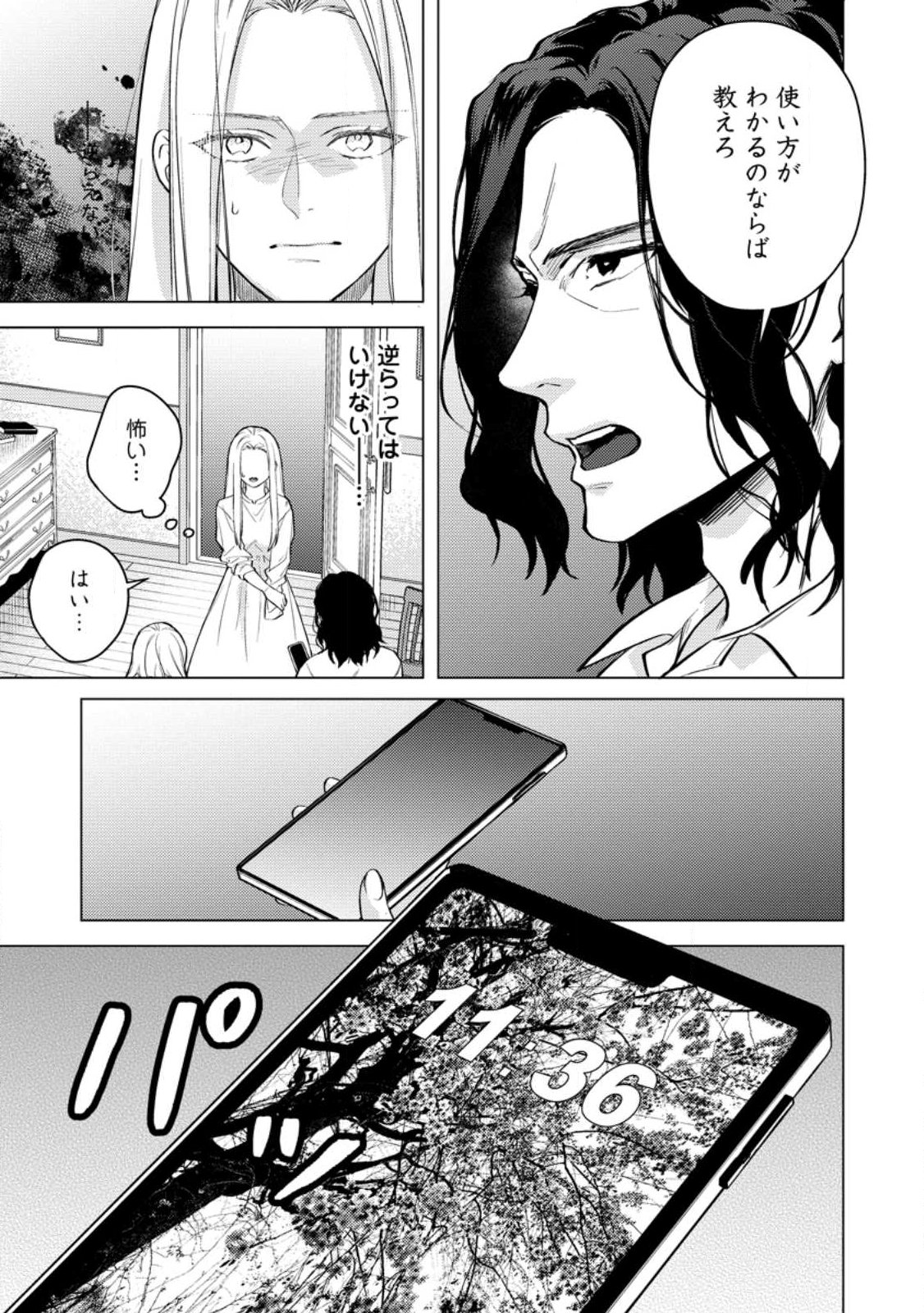 ヴェールの聖女 ヴェールの聖女 醜いと誤解された聖女、イケメン護衛騎士に溺愛される 第27.2話 - Page 4