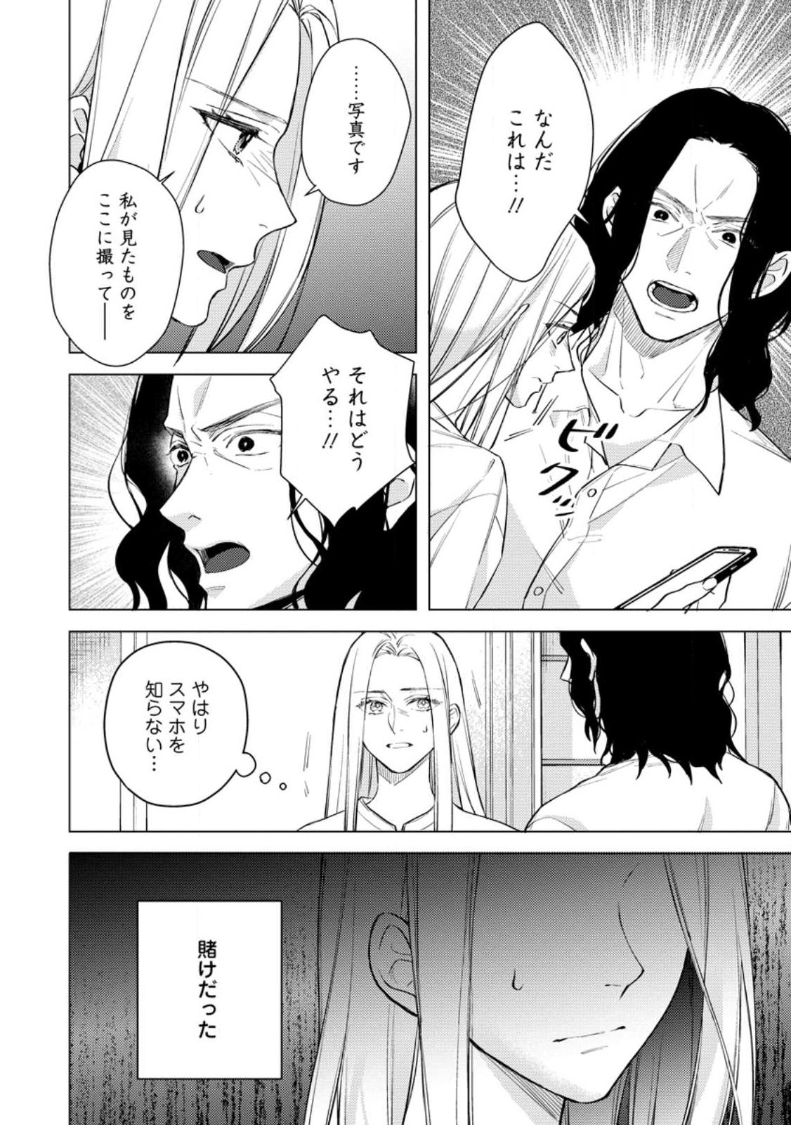 ヴェールの聖女 ヴェールの聖女 醜いと誤解された聖女、イケメン護衛騎士に溺愛される 第27.2話 - Page 5