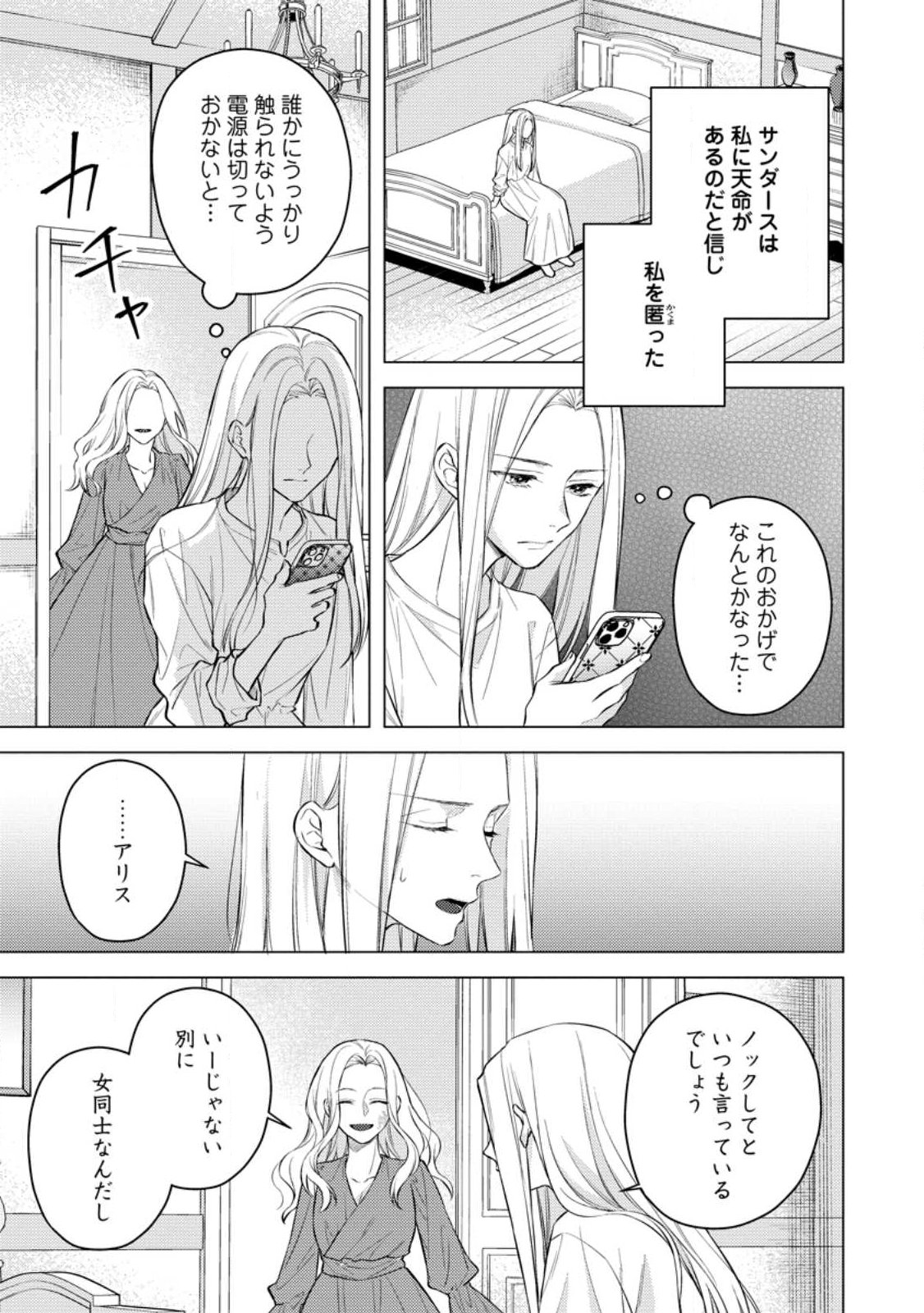 ヴェールの聖女 ヴェールの聖女 醜いと誤解された聖女、イケメン護衛騎士に溺愛される 第27.2話 - Page 8
