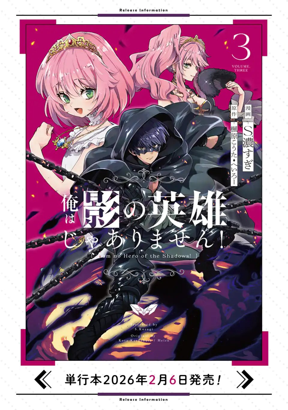 Aku Bukanlah Pahlawan Bayangan! I Am No Hero of the Shadows! 俺は影の英雄じゃありません！ 第10.3話 - Page 10