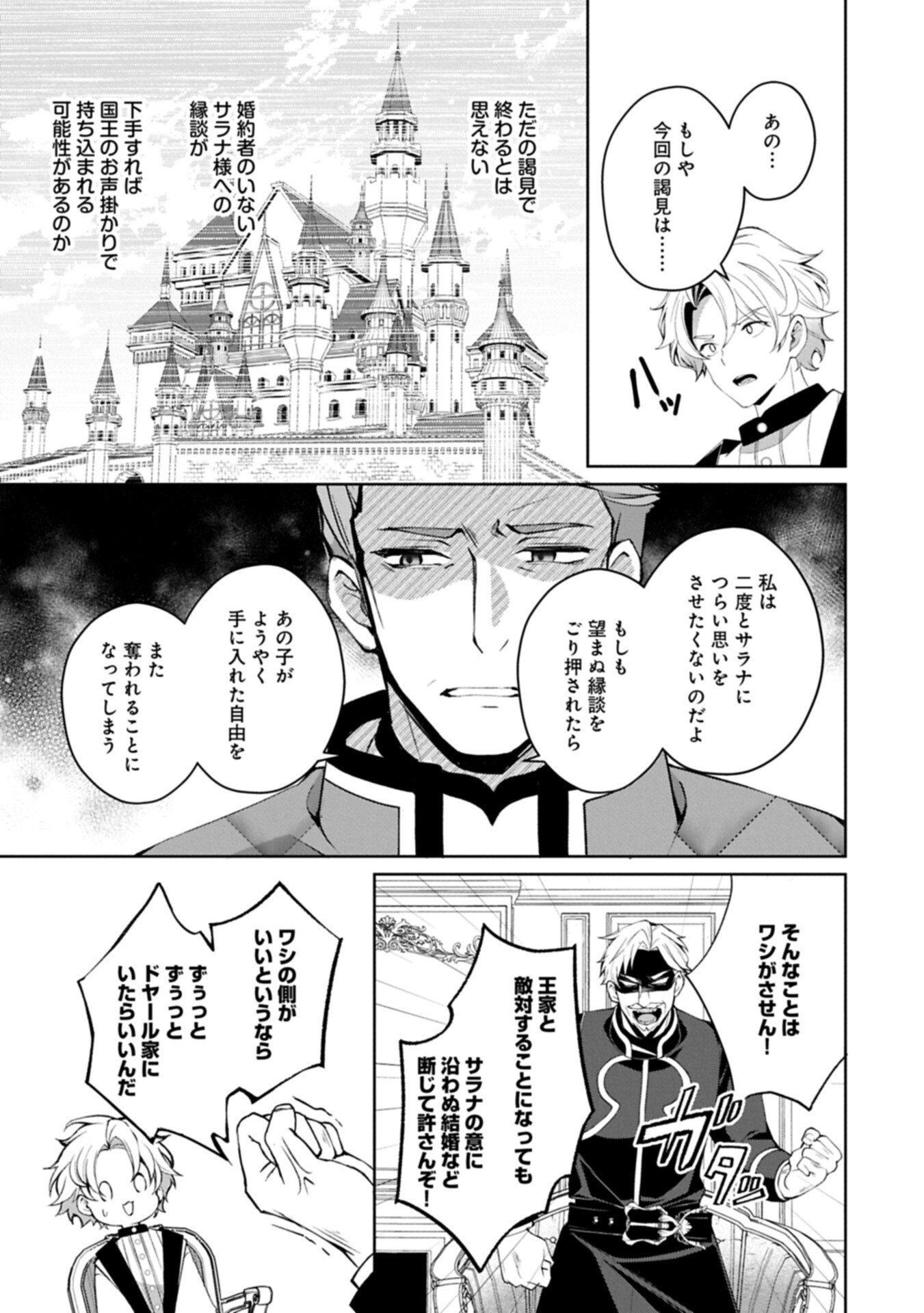 転生しました、サラナ・キンジェです。ごきげんよう。 優雅なスローライフで大忙し 第20.2話 - Page 12