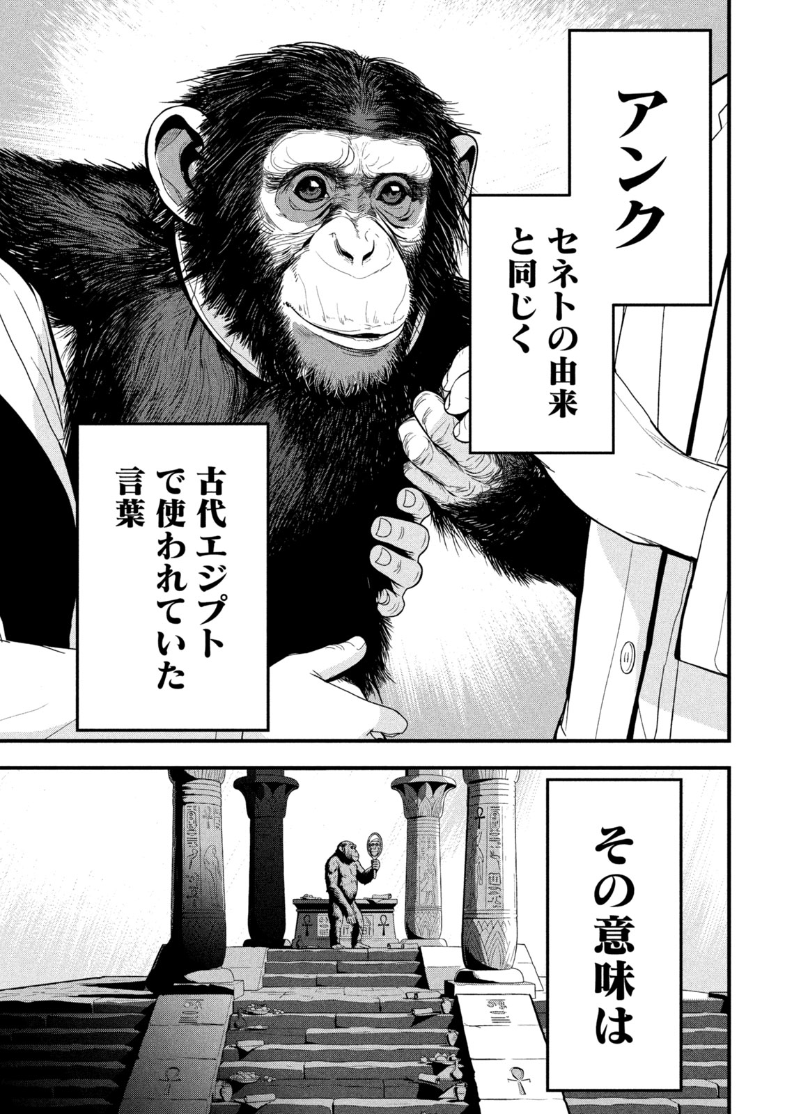 ANK : A MIRRORING APE 第2話 - Page 37