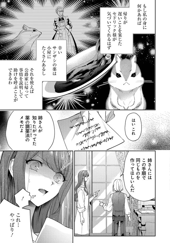 リスになってしまった婚約者が、毛嫌いしていたはずの私に助けを求めてきました。 第12.1話 - Page 9