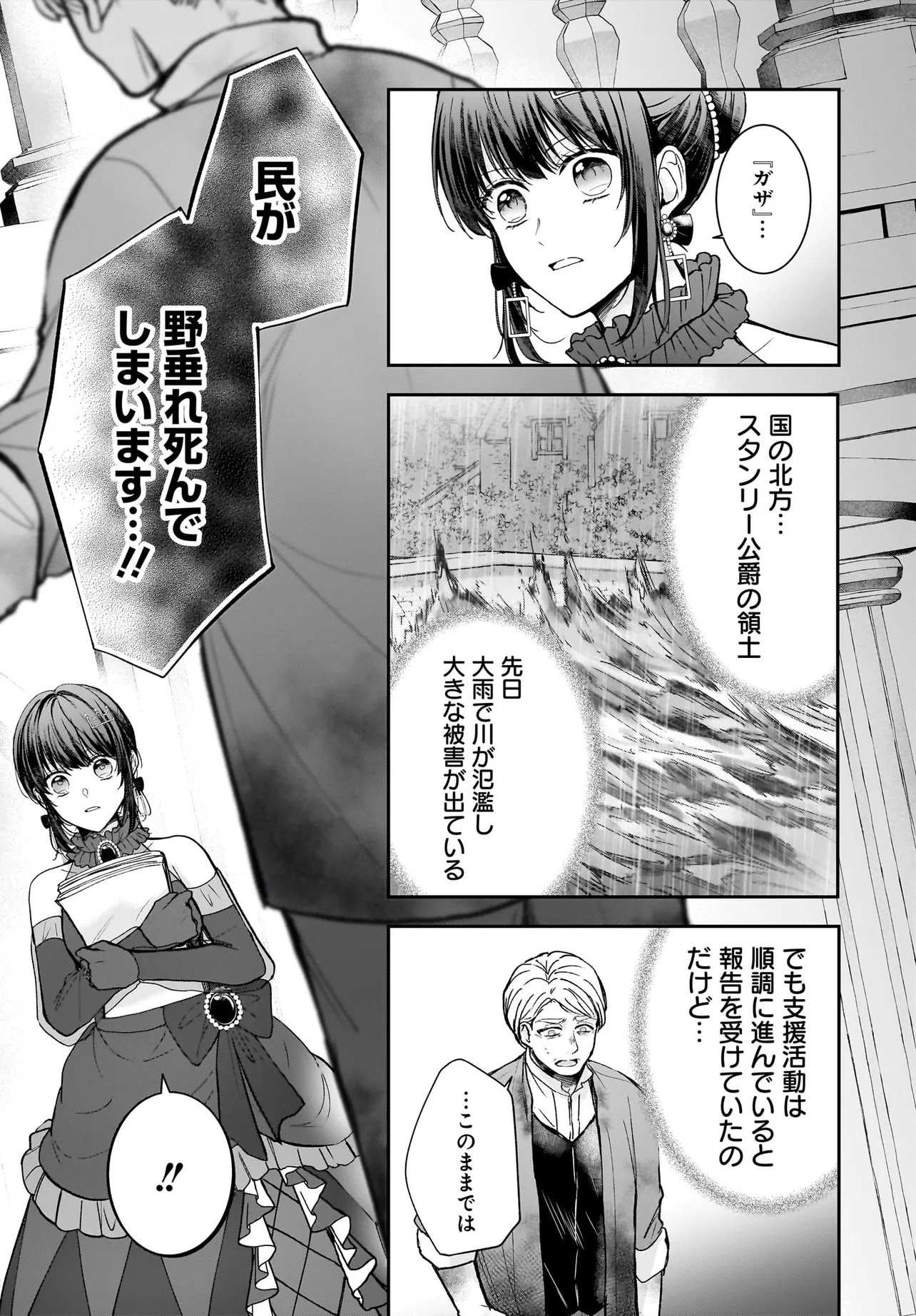 職業王妃ですので王の溺愛はご遠慮願います 第4.2話 - Page 19