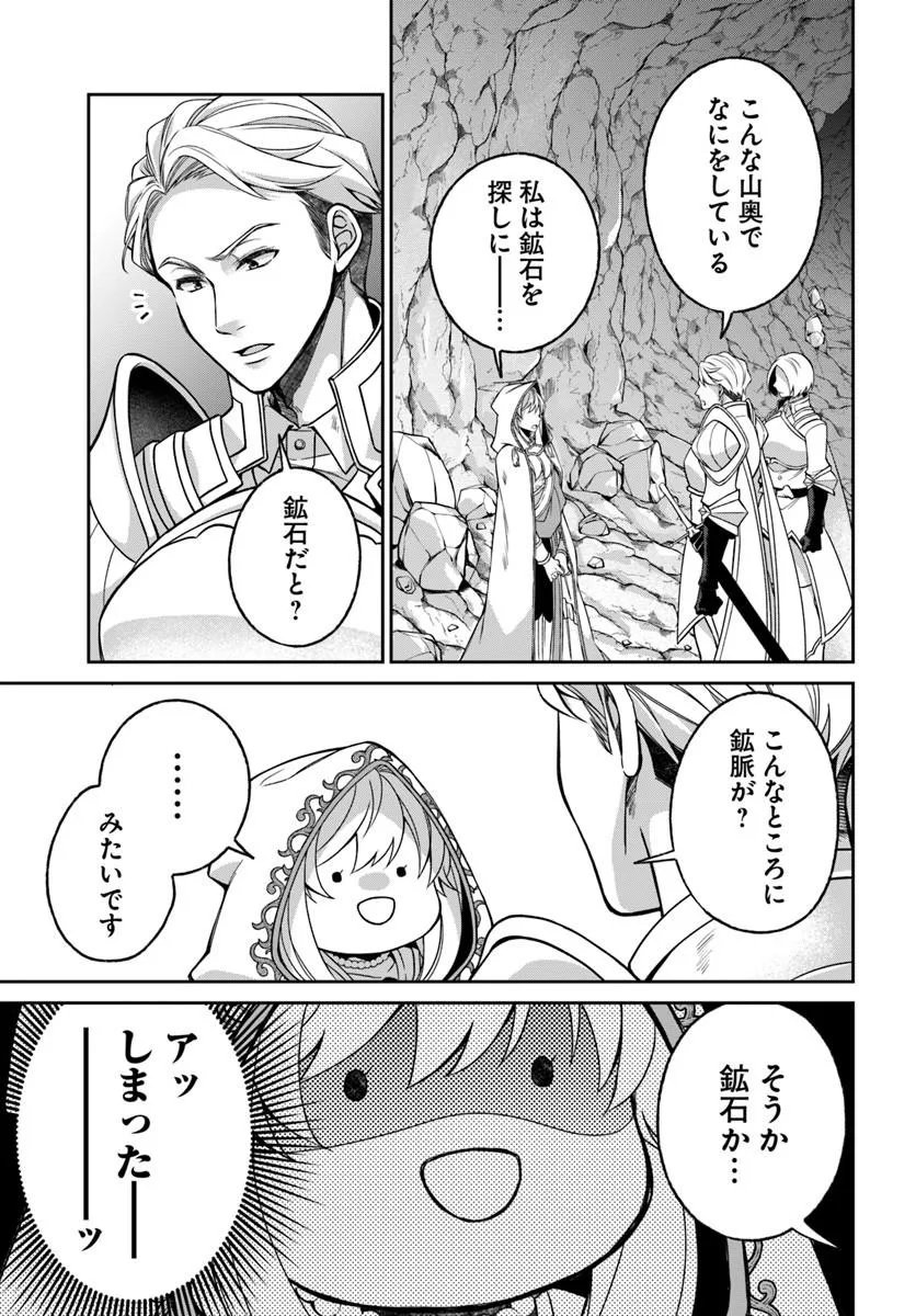 亜空の聖女 亜空の聖女 〜妹に濡れ衣を着せられた最強魔術師は、正体を隠してやり直す〜 第24.1話 - Page 3