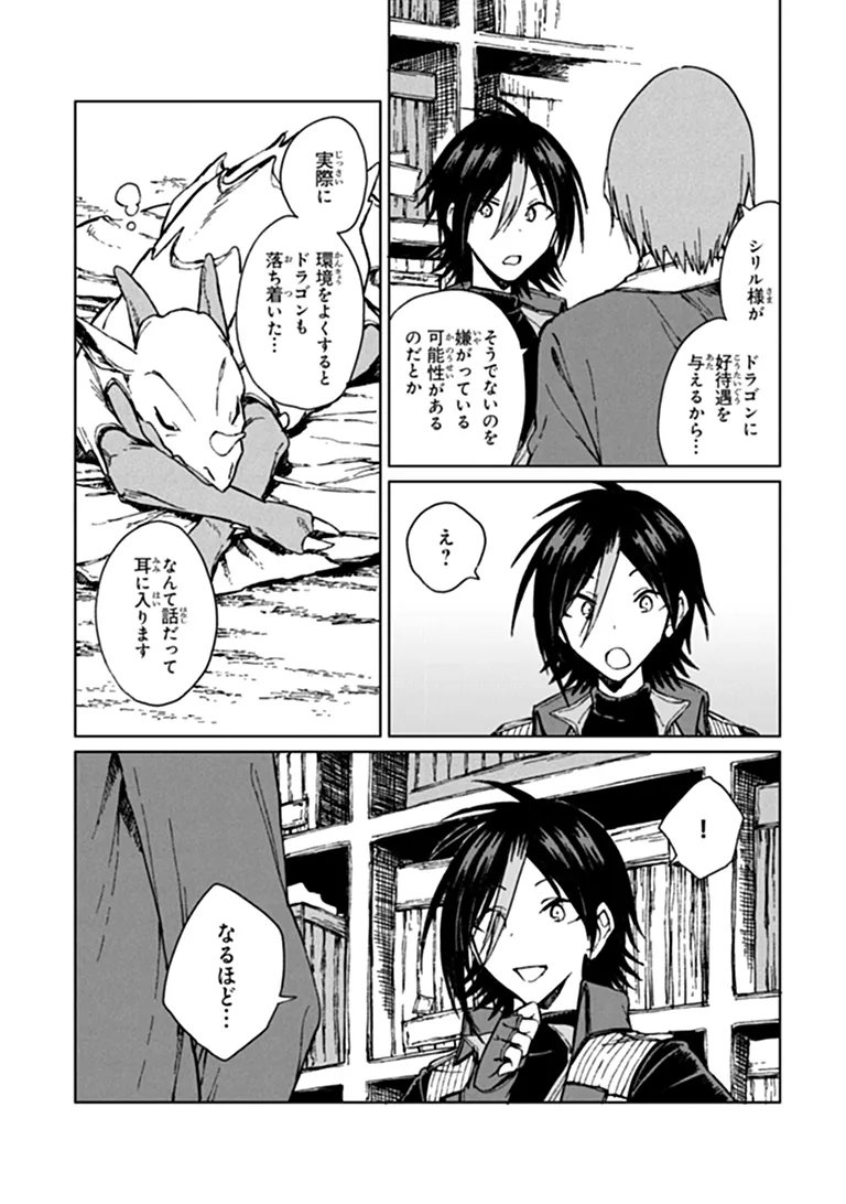 級ギルドを追放されたけど、実は俺だけドラゴンの言葉がわかるので、気付いたときには竜騎士の頂点を極めてました。 第46.1話 - Page 5