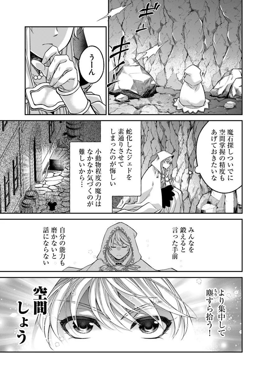亜空の聖女 亜空の聖女 〜妹に濡れ衣を着せられた最強魔術師は、正体を隠してやり直す〜 第24.1話 - Page 15