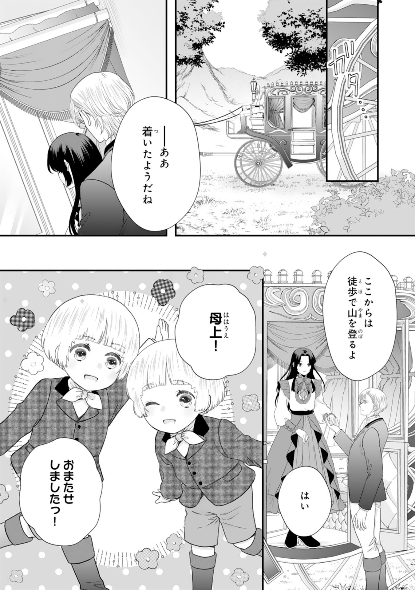 双子王子の継母になりまして 嫌われ悪女ですが、そんなことより義息子たちが可愛すぎて困ります 第15話 - Page 29