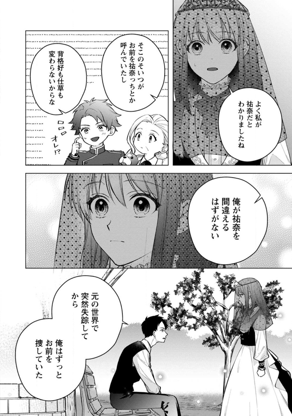 ヴェールの聖女 ヴェールの聖女 醜いと誤解された聖女、イケメン護衛騎士に溺愛される 第28.1話 - Page 8