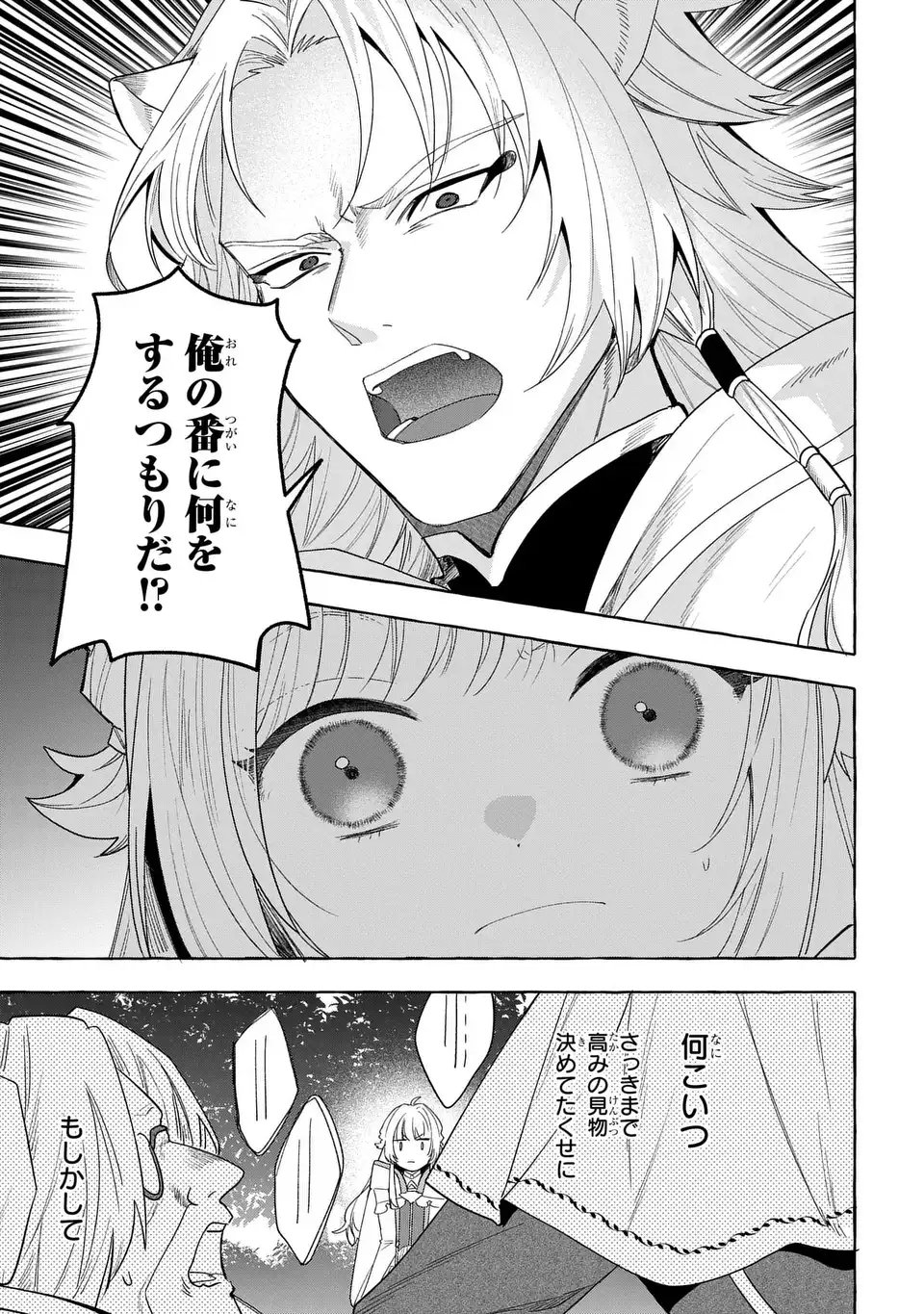 わたしの創った千年王国 天才魔導師の自由気ままな転生無双譚 第9話 - Page 17