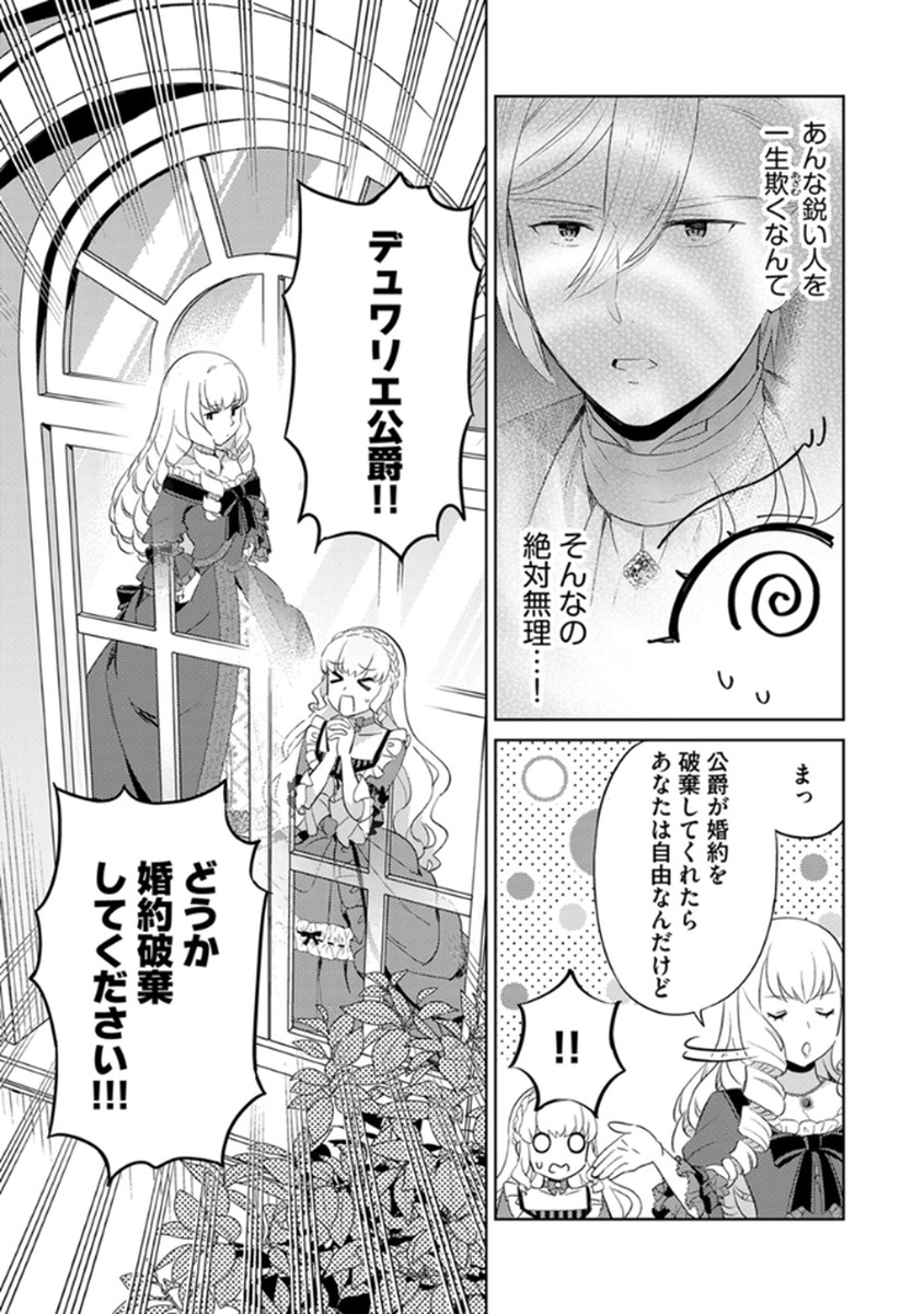 身代わり伯爵令嬢だけれど、婚約者代理はご勘弁 第12話 - Page 17