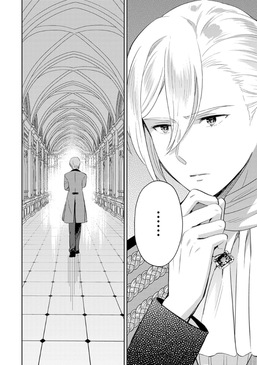 身代わり伯爵令嬢だけれど、婚約者代理はご勘弁 第12話 - Page 24
