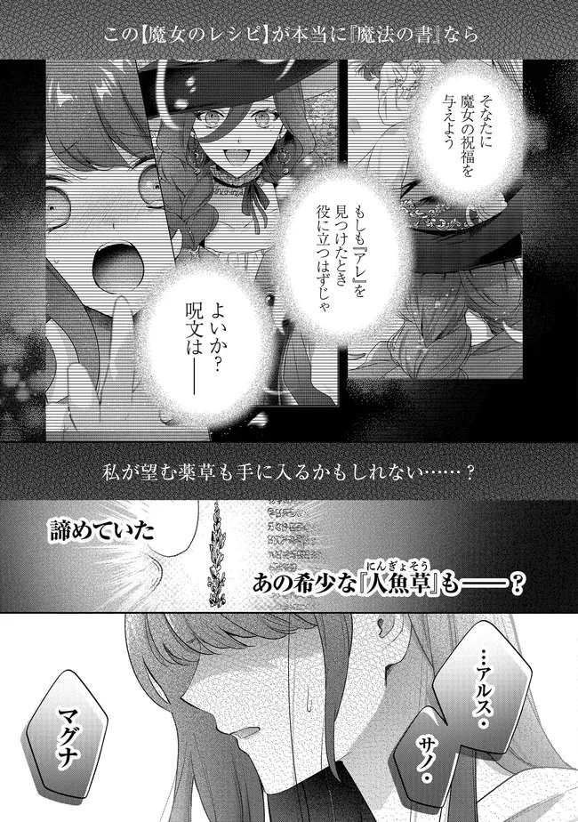 リスになってしまった婚約者が、毛嫌いしていたはずの私に助けを求めてきました。 第12.2話 - Page 7