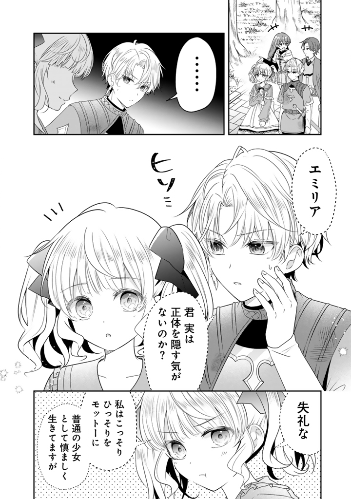 転生聖女は引きこもりスローライフを目指したい！ ～規格外の魔力？ 伝説の聖女の再来！？ 人違いなので放っておいて下さい！～ 第12.2話 - Page 8