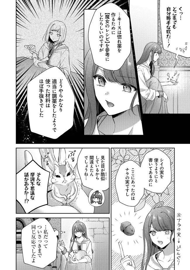 リスになってしまった婚約者が、毛嫌いしていたはずの私に助けを求めてきました。 第12.2話 - Page 12