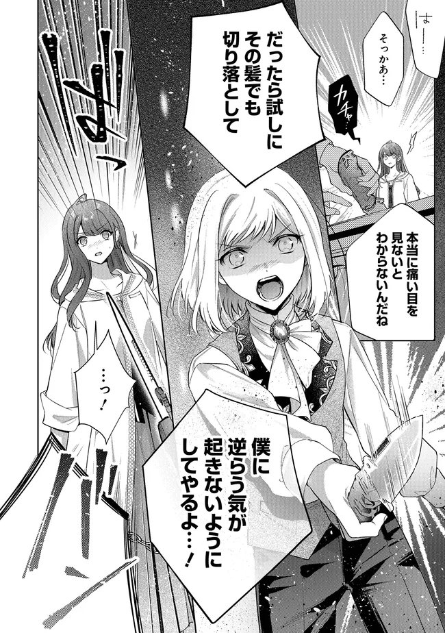 リスになってしまった婚約者が、毛嫌いしていたはずの私に助けを求めてきました。 第12.2話 - Page 26