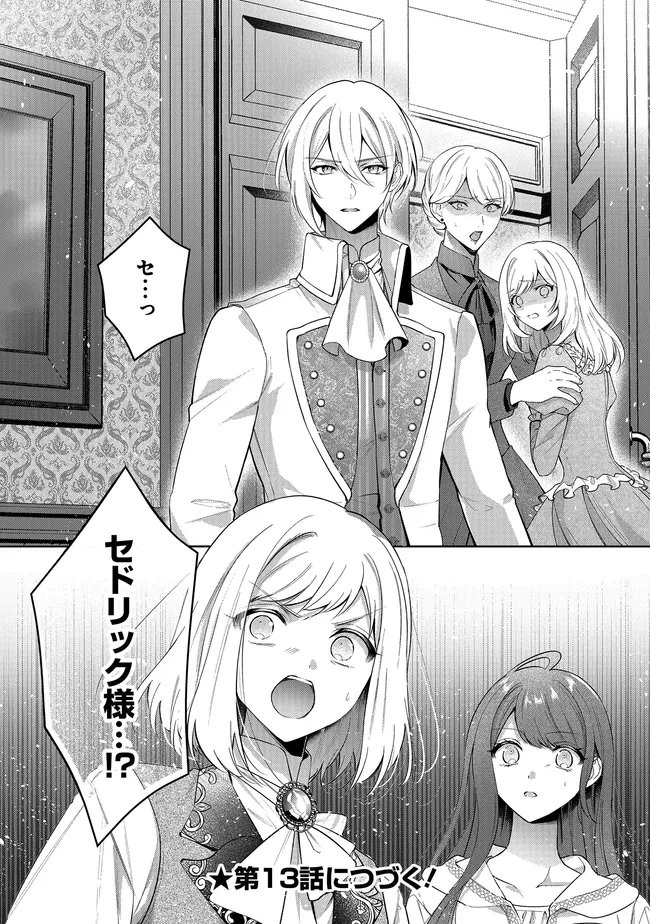 リスになってしまった婚約者が、毛嫌いしていたはずの私に助けを求めてきました。 第12.2話 - Page 28